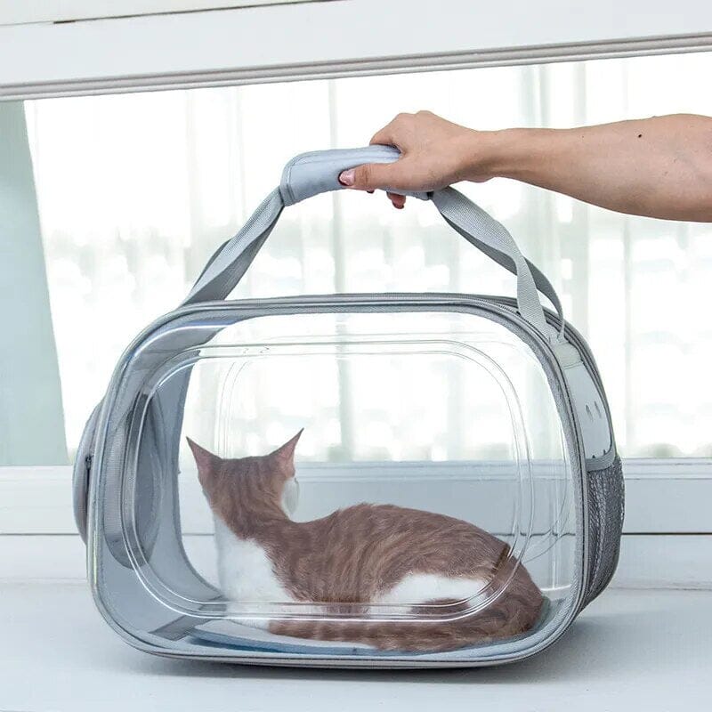 Clear Pet Carrier Pet Travel Bag Cats Travel Bag Pet Travel Pets Luxe Pet Store Tiny. Pure. Love