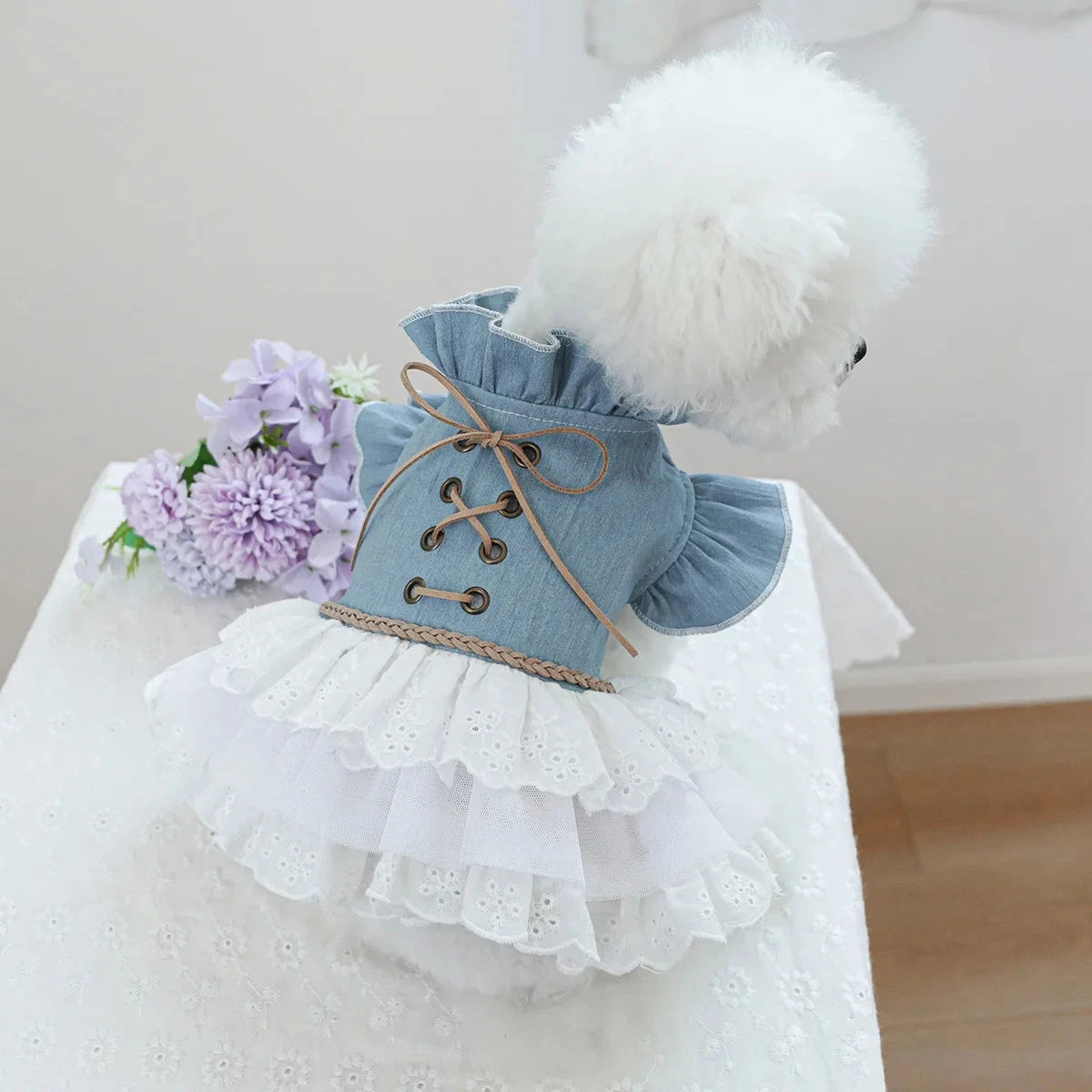 Lacy Paws Outfit (JS) Luxe Pet Store | Tiny. Pure. Love. 
