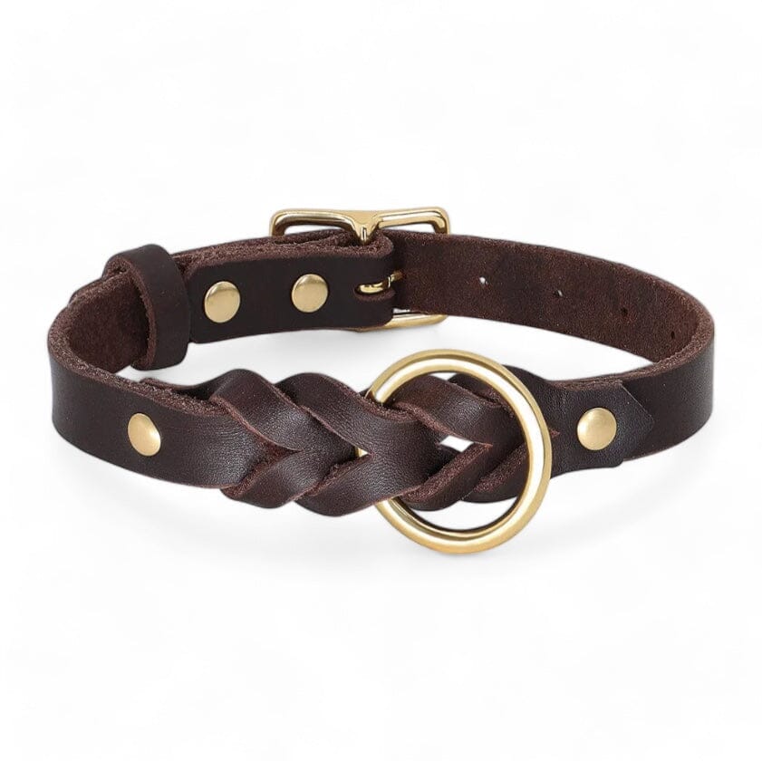 Luxe Paws Braided Leather Set Collar Luxe Pet Store 