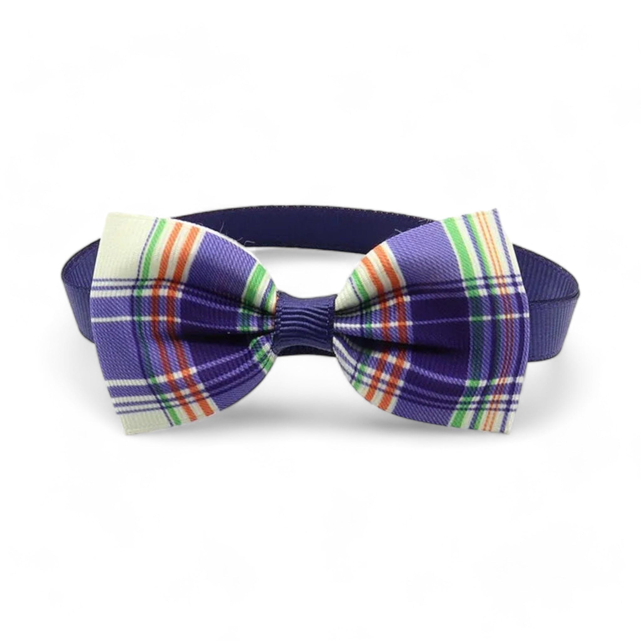 Paw Charm Collar Collar Luxe Pet Store 3 