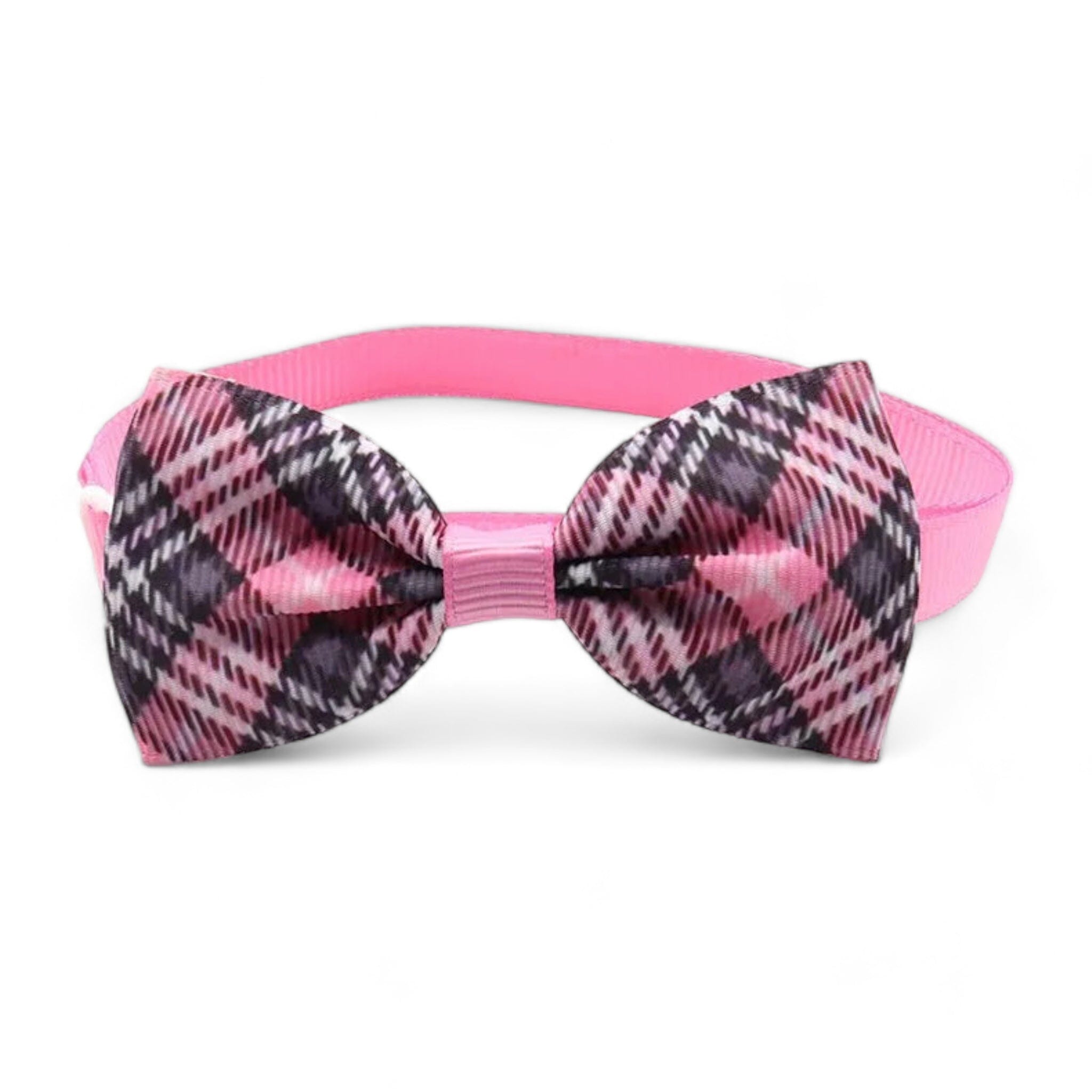 Paw Charm Collar Collar Luxe Pet Store 2 