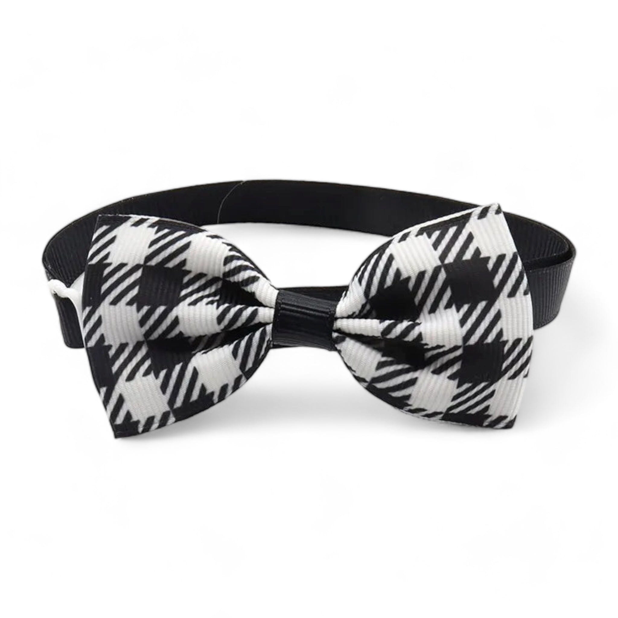 Paw Charm Collar Collar Luxe Pet Store 1 