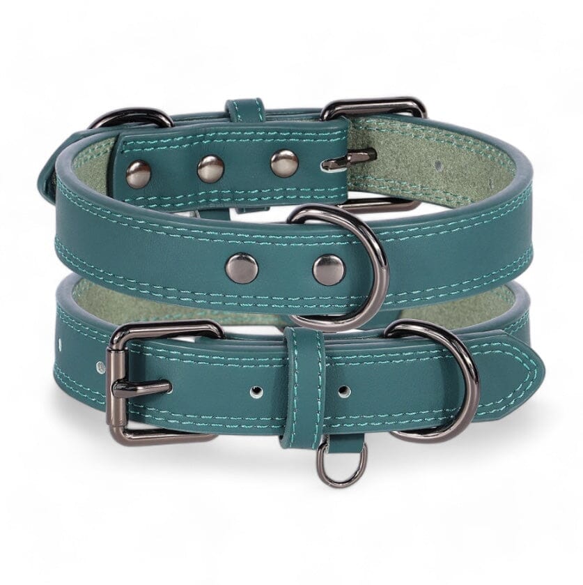 Leather Dog Collar Pet Collar Luxe Pet Store Green S 