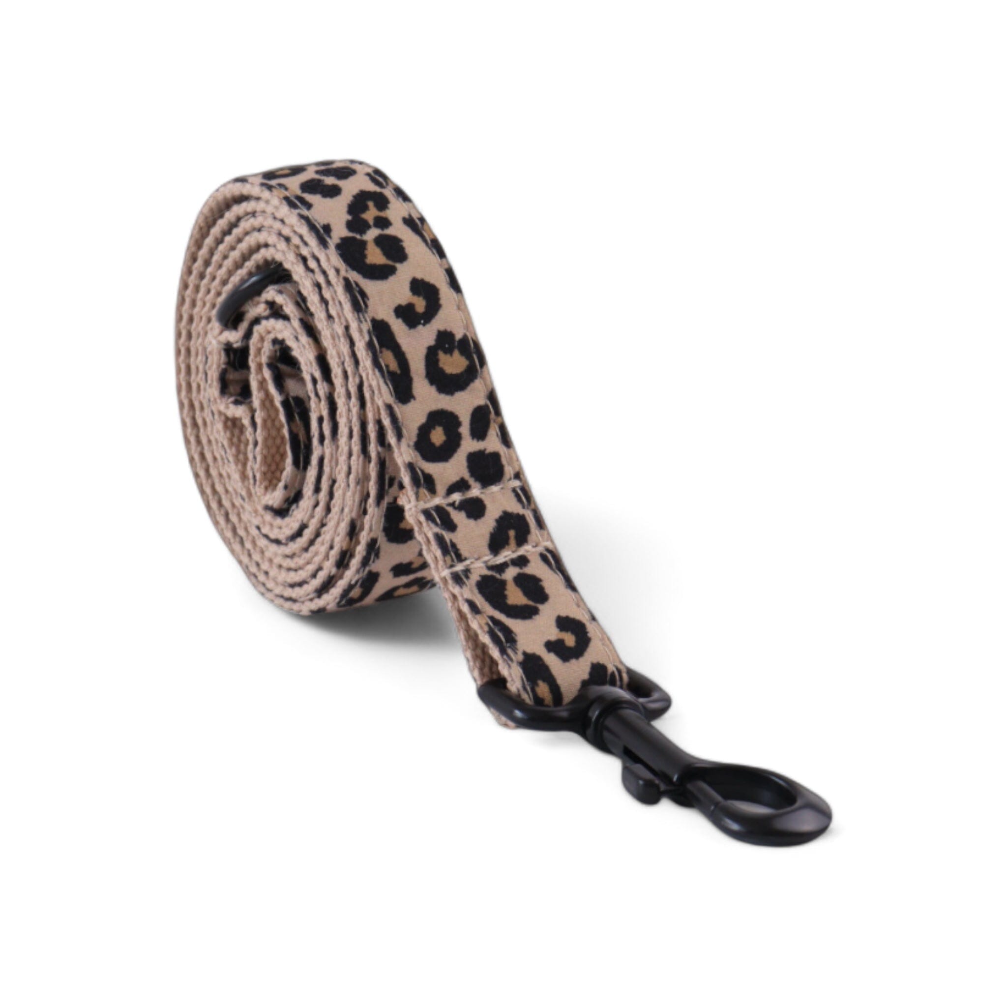 Wild Style Pet Collar Set Collar Luxe Pet Store 