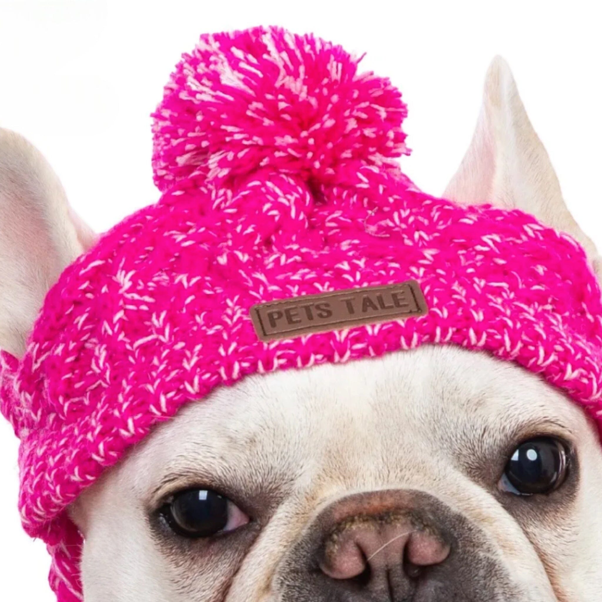 Warm Paws Cozy Beanie Dog Hat Luxe Pet Store 