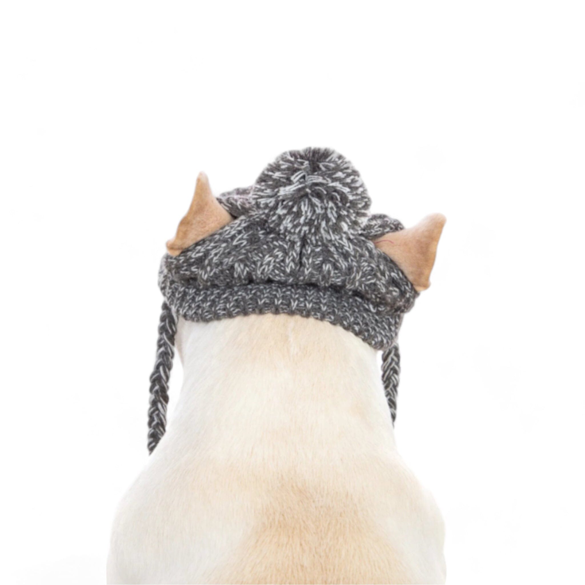 Warm Paws Cozy Beanie Dog Hat Luxe Pet Store 