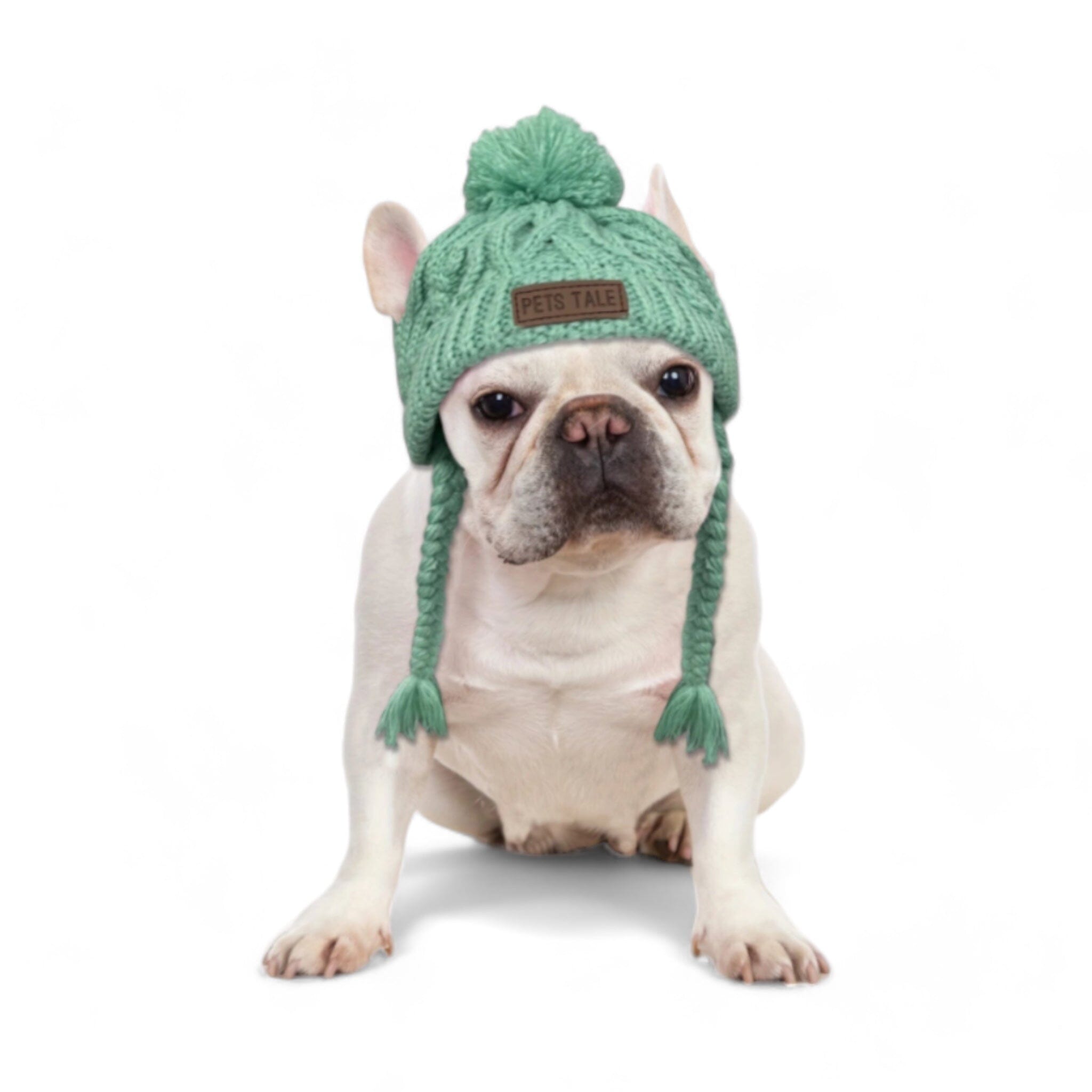Warm Paws Cozy Beanie Dog Hat Luxe Pet Store Green S 