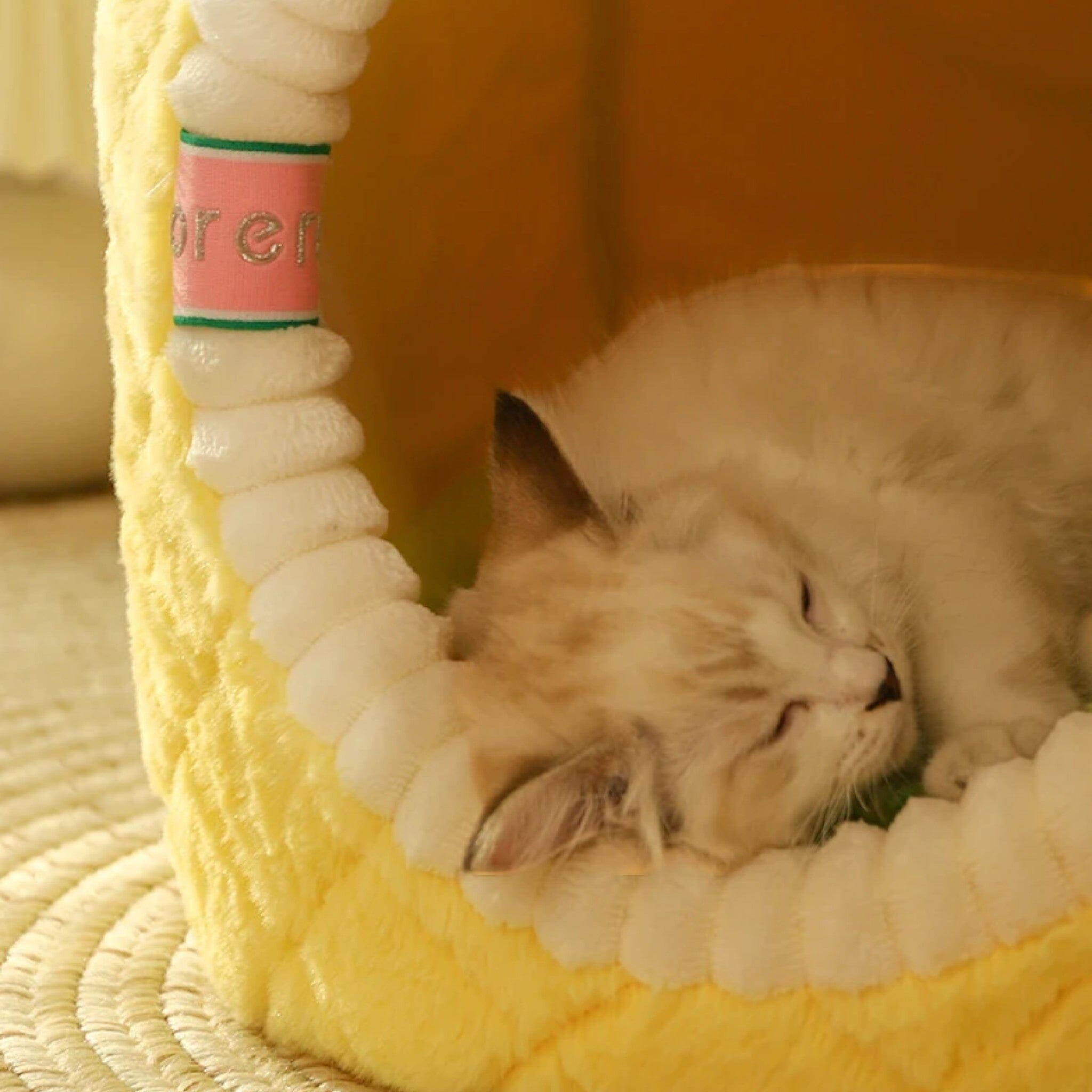 Plush Paws Retreat Cat Bed Luxe Pet Store 
