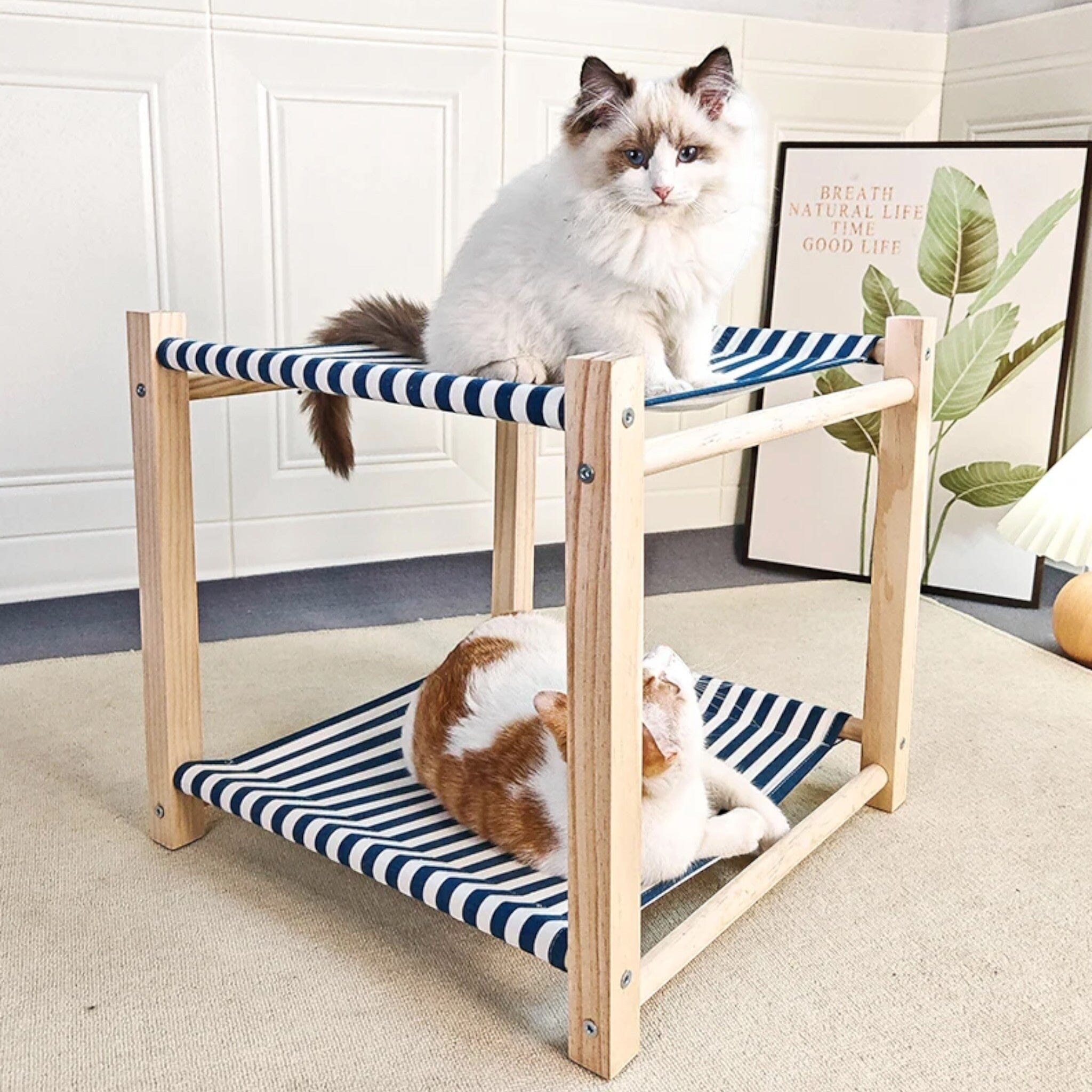 Cat Hammock Cat Bed Luxe Pet Store Blue 