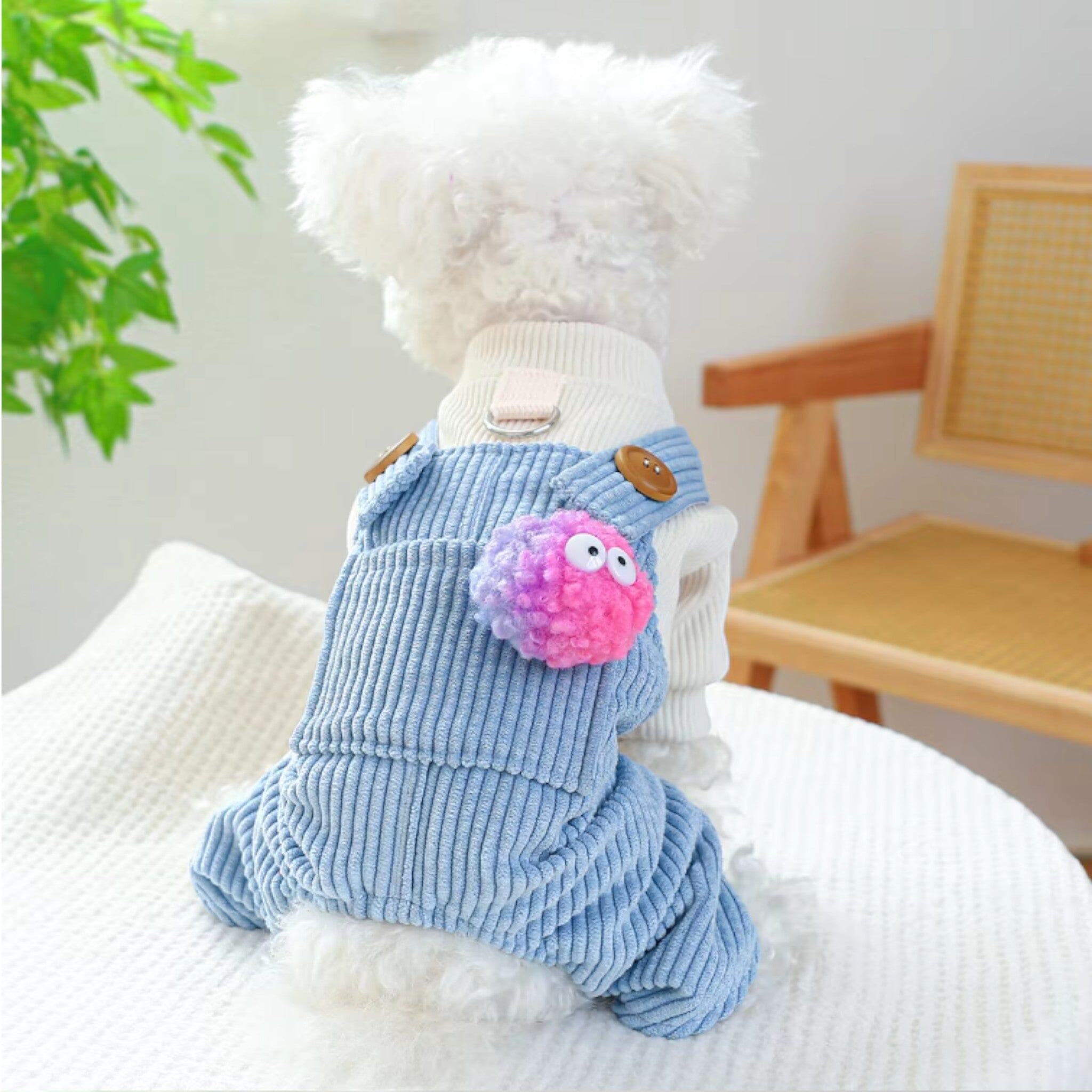 Blue Jumpsuit Luxe Pet Store 