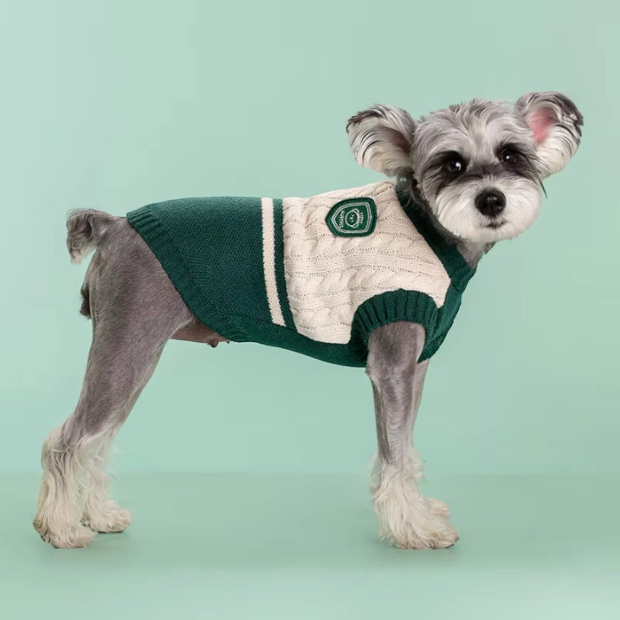 College Style Pet Sweater Luxe Pet Store 