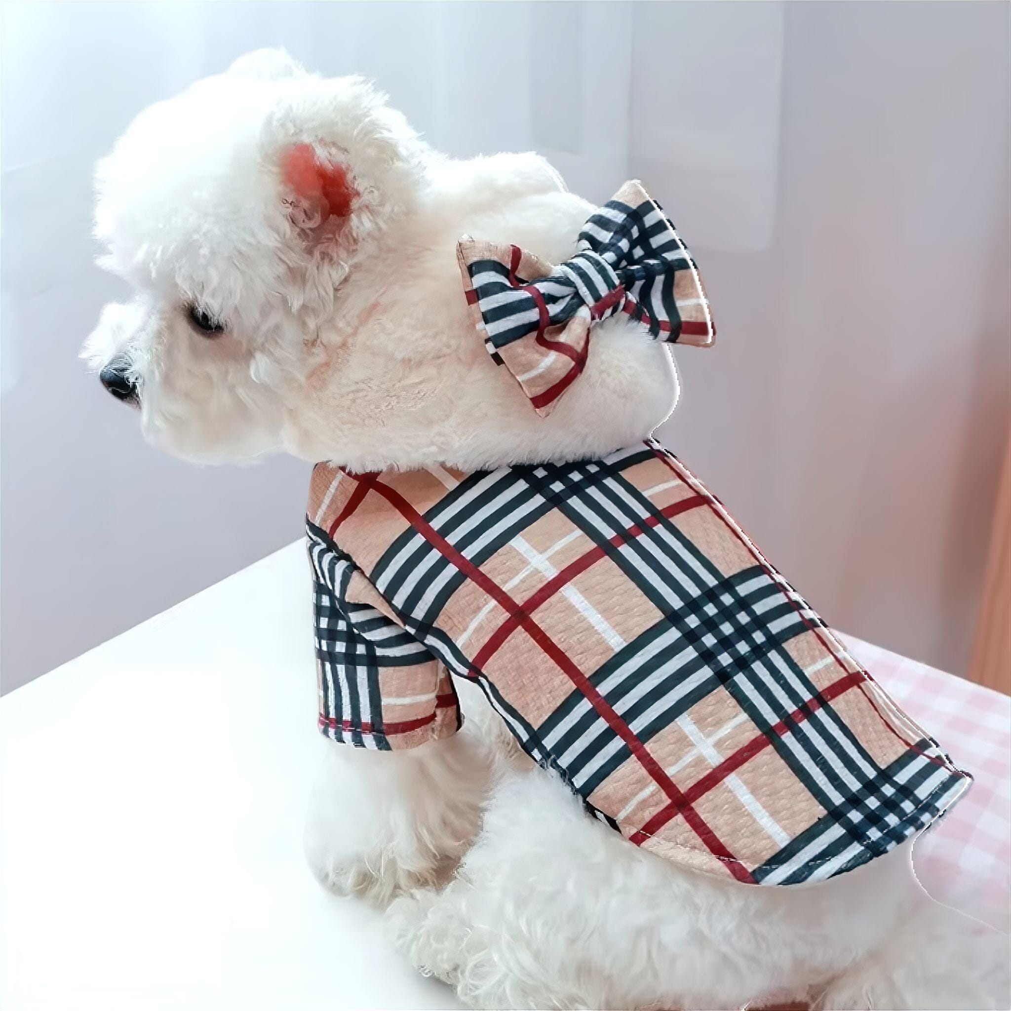 Bowknot Coat Luxe Pet Store 