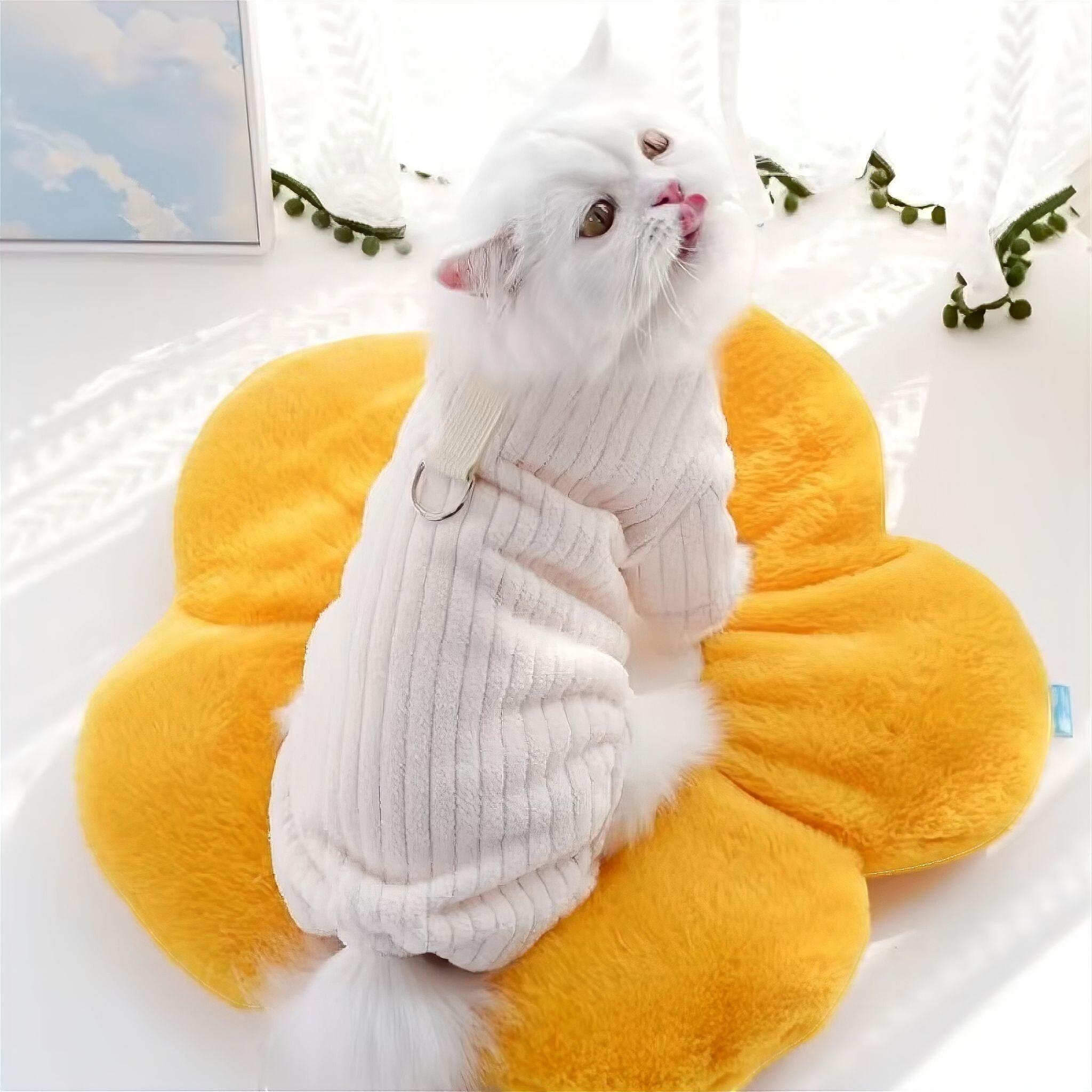 Winter Pet Jumpsuit Luxe Pet Store 