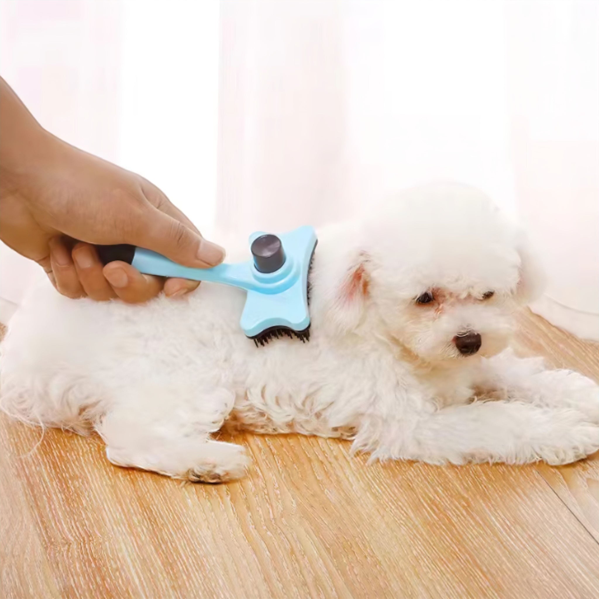 Soft Touch Comb (JS) Luxe Pet Store | Tiny. Pure. Love. 