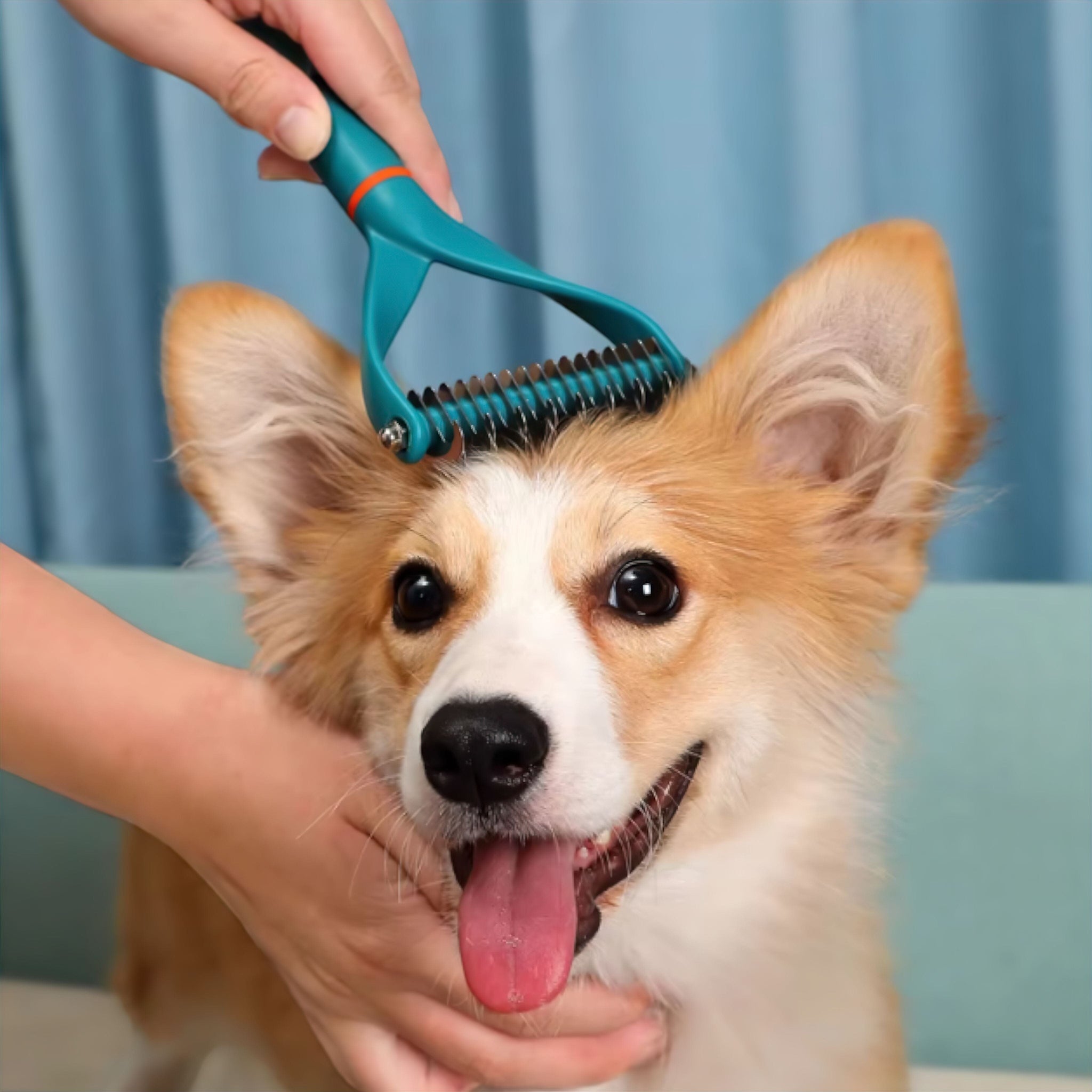 Tidy Grooming Brush Luxe Pet Store | Tiny. Pure. Love. 