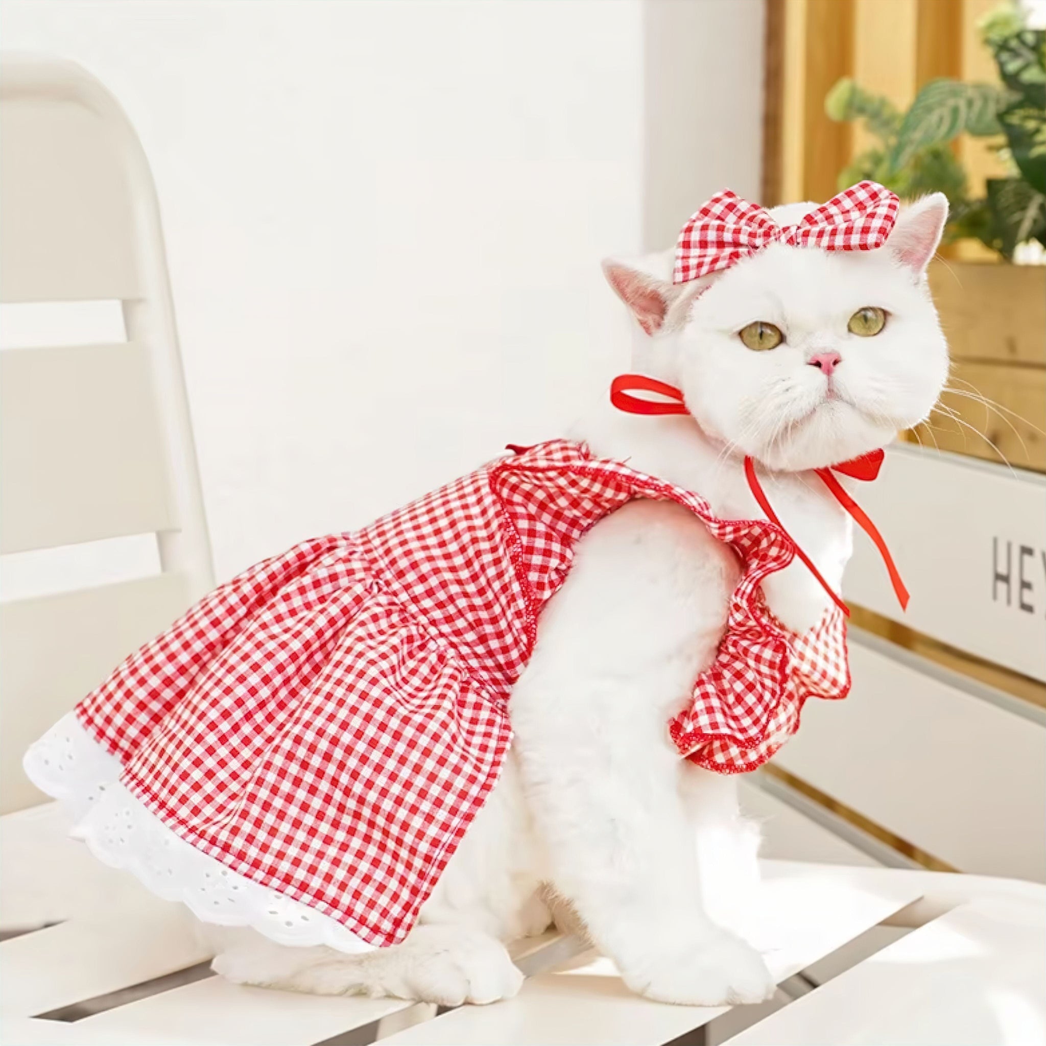 Furry Fashionista Dress Luxe Pet Store | Tiny. Pure. Love. 