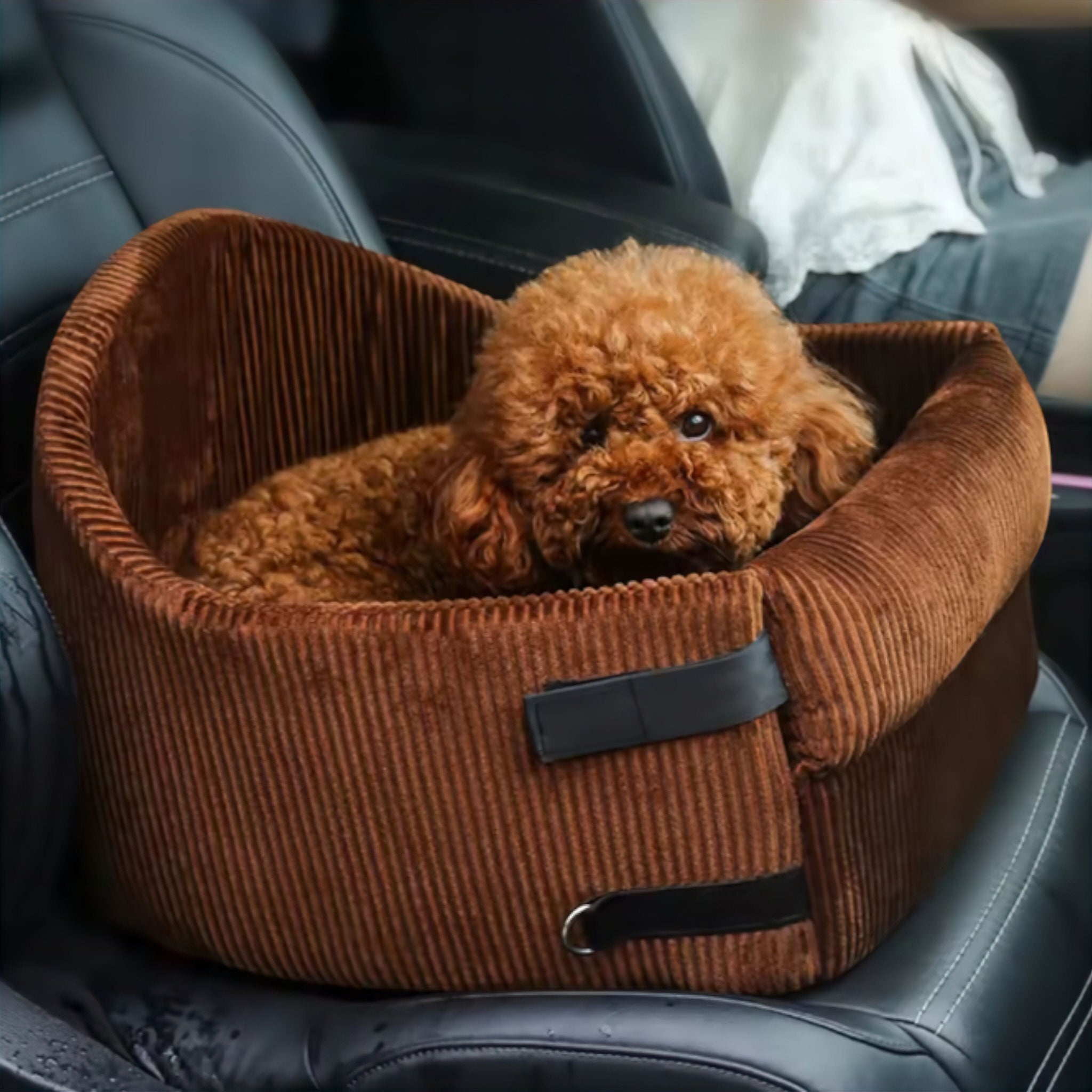 Pet Comfort Seat Luxe Pet Store | Tiny. Pure. Love. 