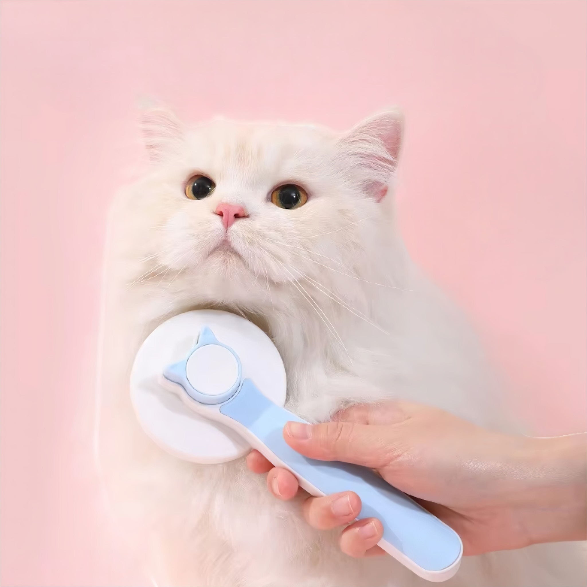 Tangle Tamer Brush Luxe Pet Store | Tiny. Pure. Love. 