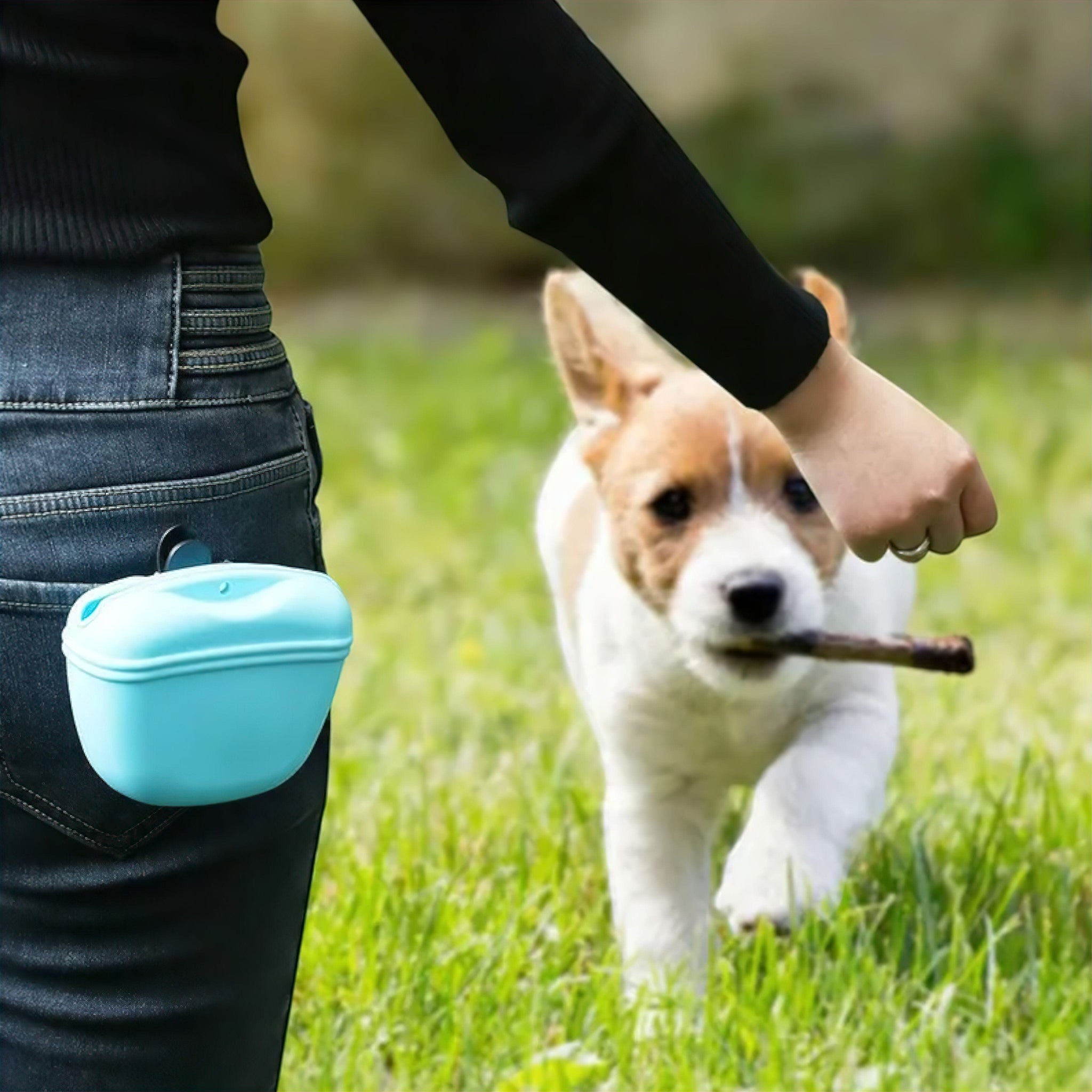 Treat Feeder Bag Luxe Pet Store | Tiny. Pure. Love. 