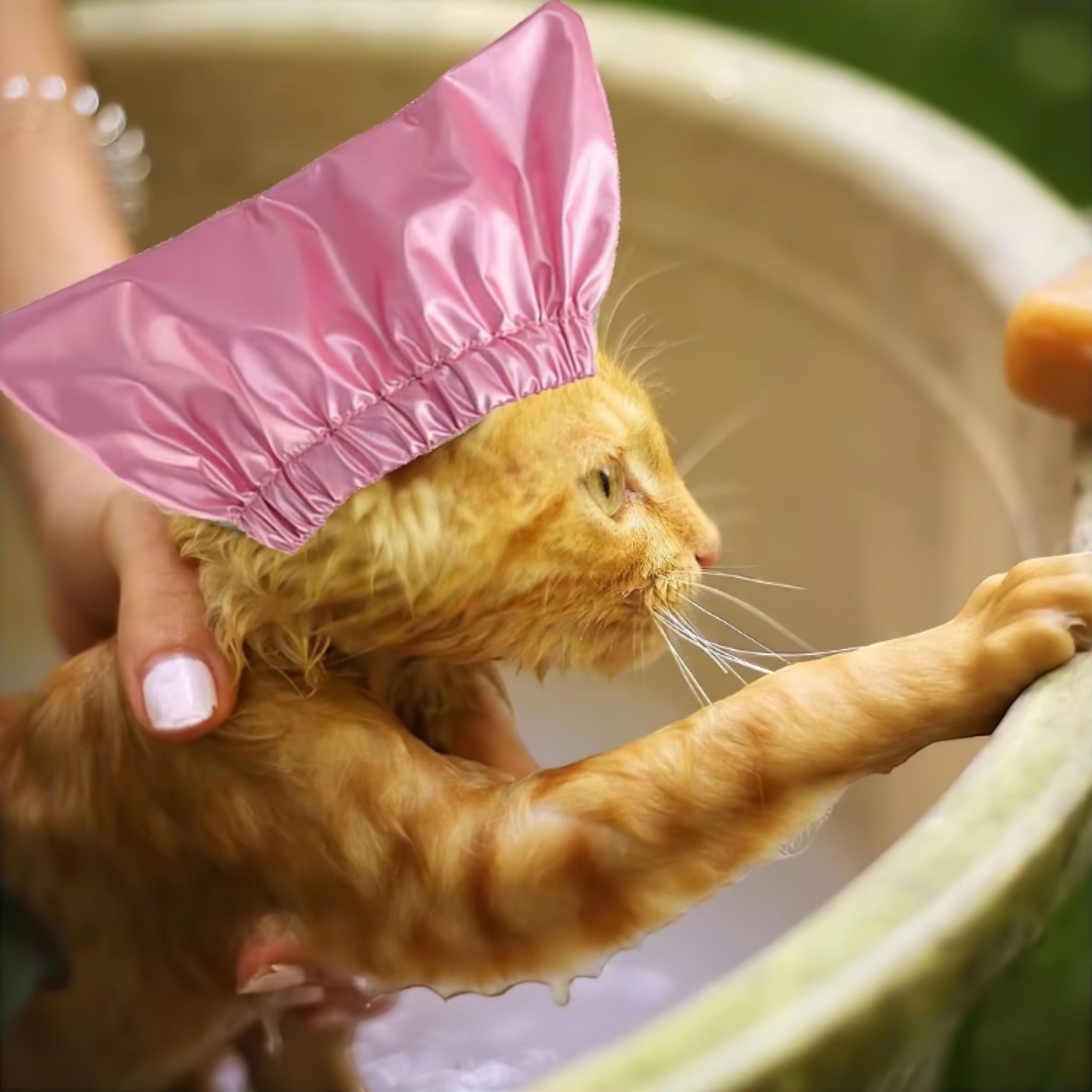 Happy Bath Hat (JS) image added done Luxe Pet Store | Tiny. Pure. Love. 