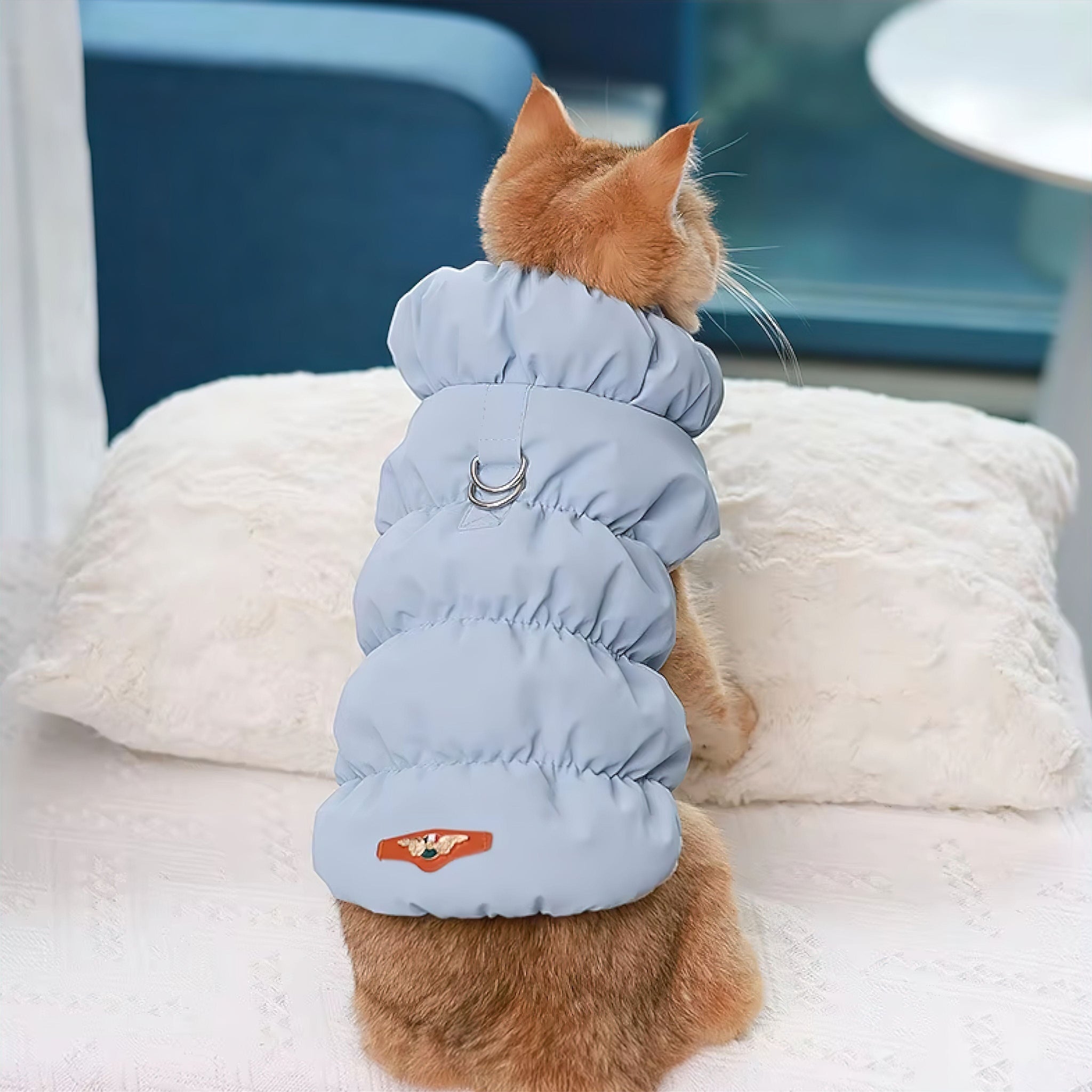 Snug Paws Winter Vest (JS) display image edit done Dog Clothing Luxe Pet Store 