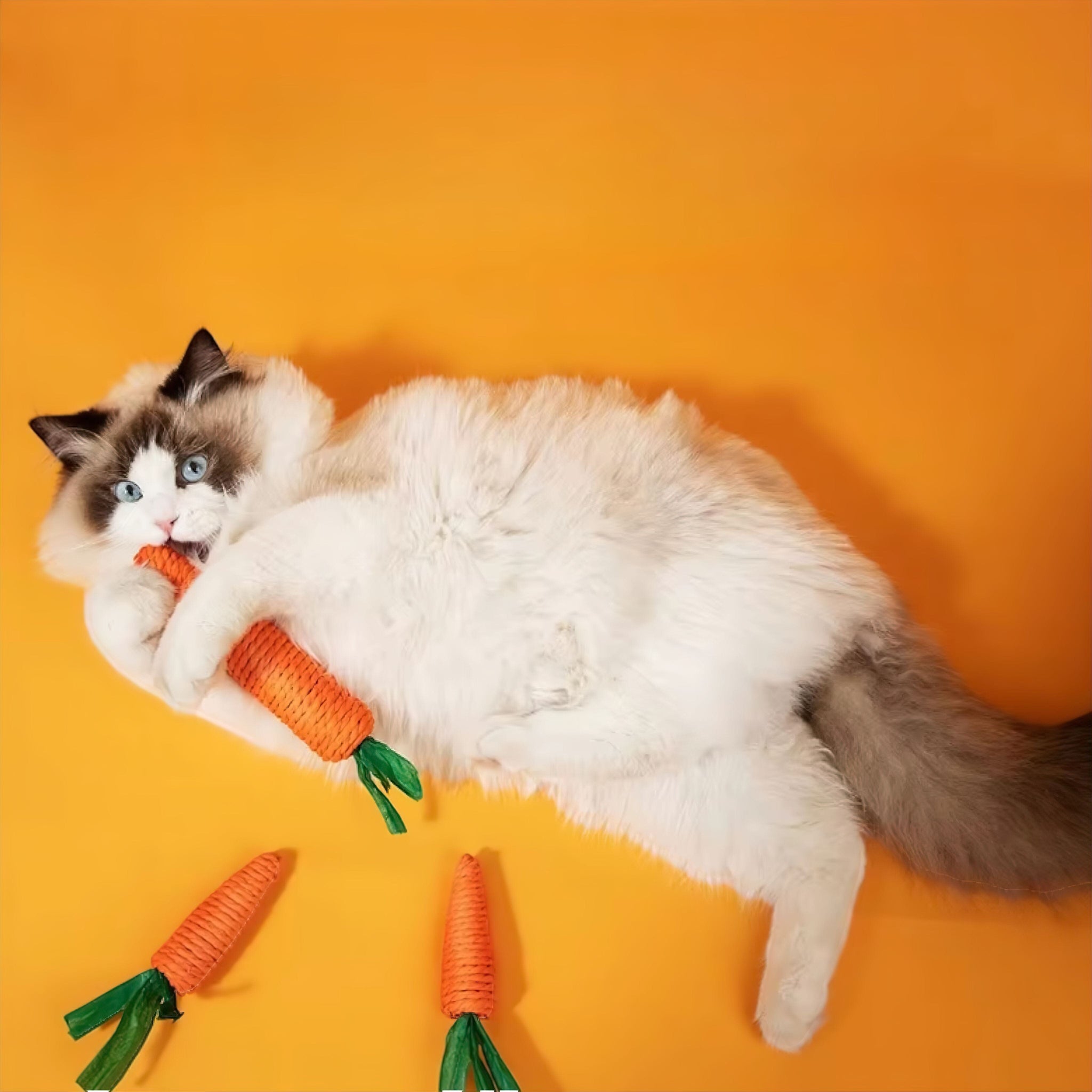 Cuddle Carrot Toy Luxe Pet Store | Tiny. Pure. Love. 
