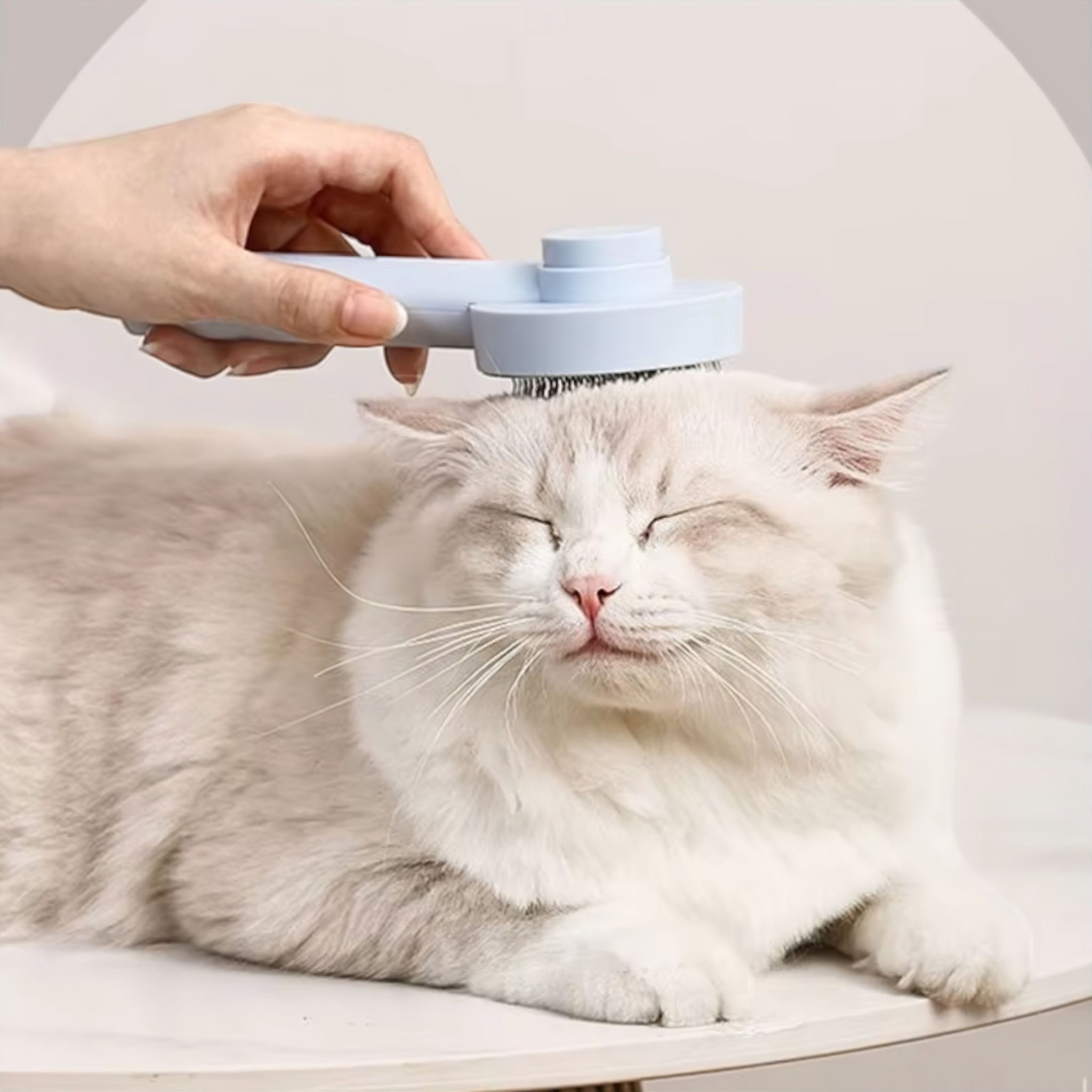 Tidy Tail Comb Luxe Pet Store | Tiny. Pure. Love. 