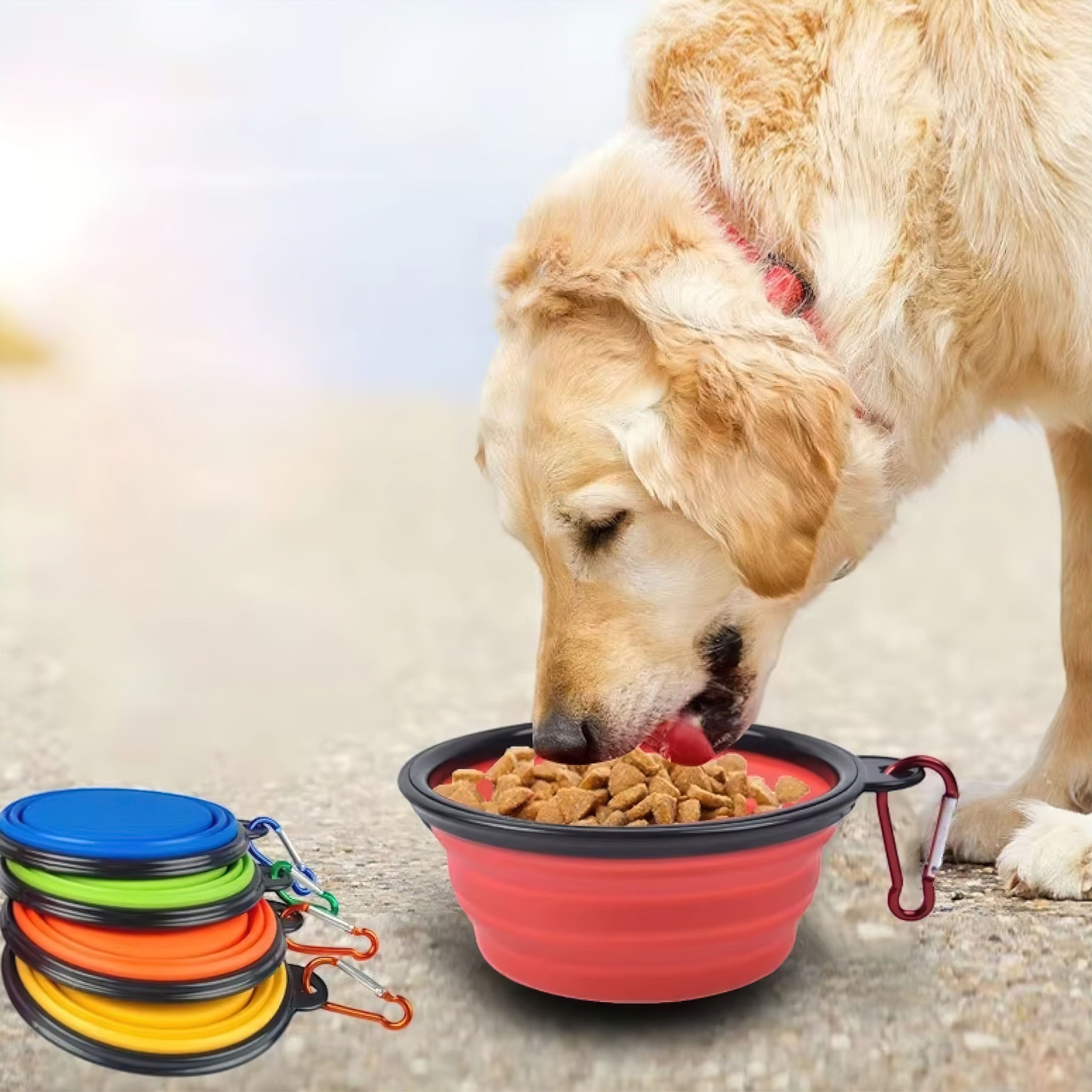 Foldable Pet Bowl (JS) display image added bowl Luxe Pet Store 