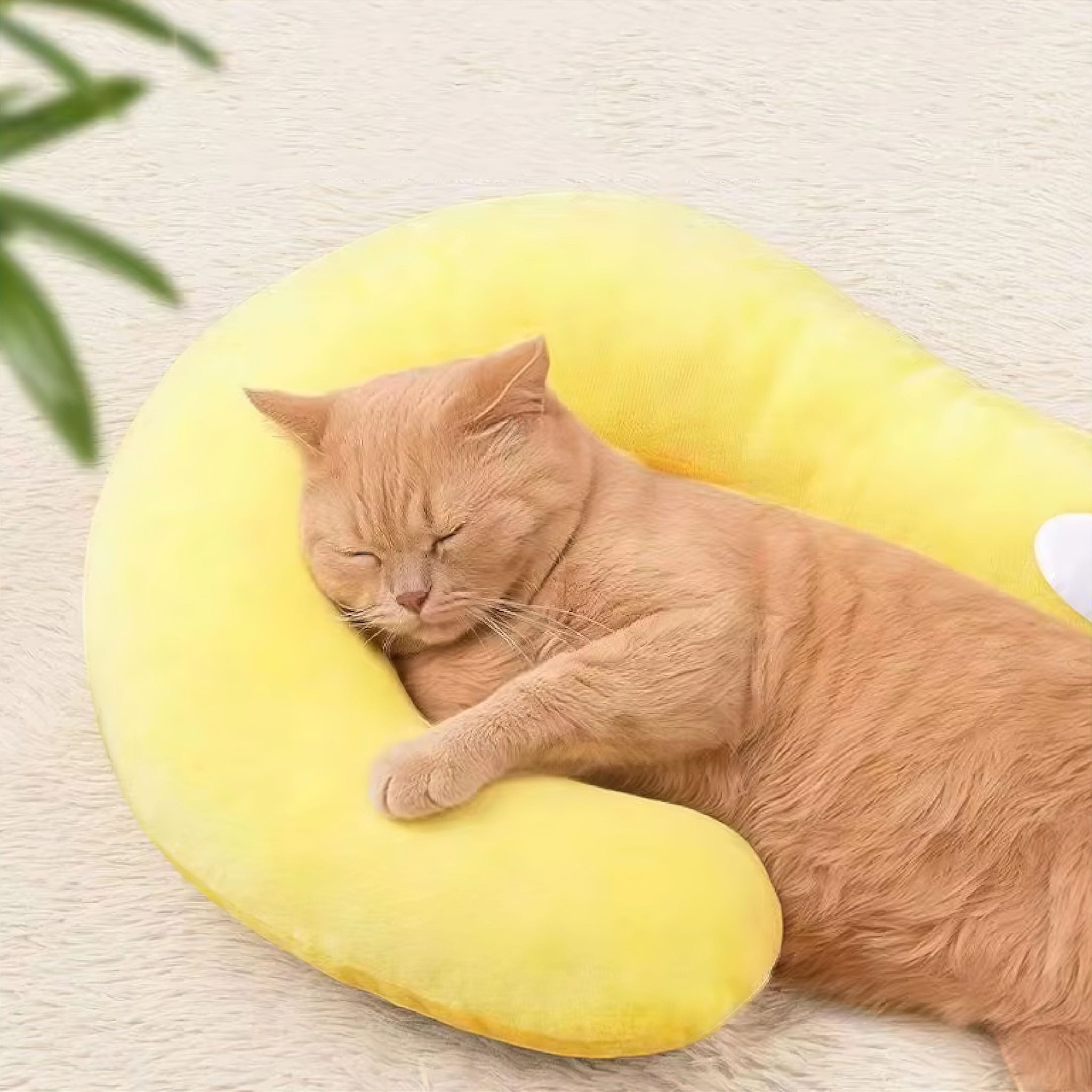 Comfy Paws Pillow (JS) Luxe Pet Store | Tiny. Pure. Love. 