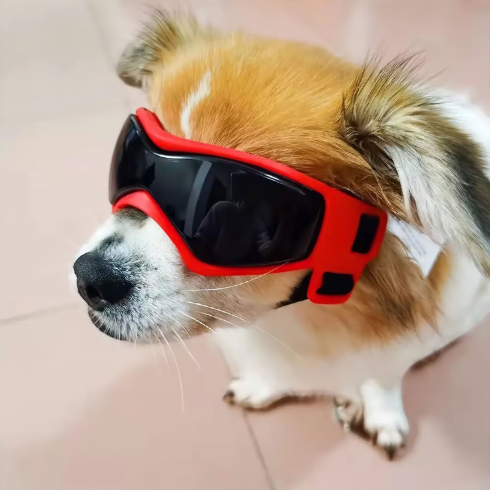 Posh Pup Goggles (JS) image added Dog Toy Luxe Pet Store 
