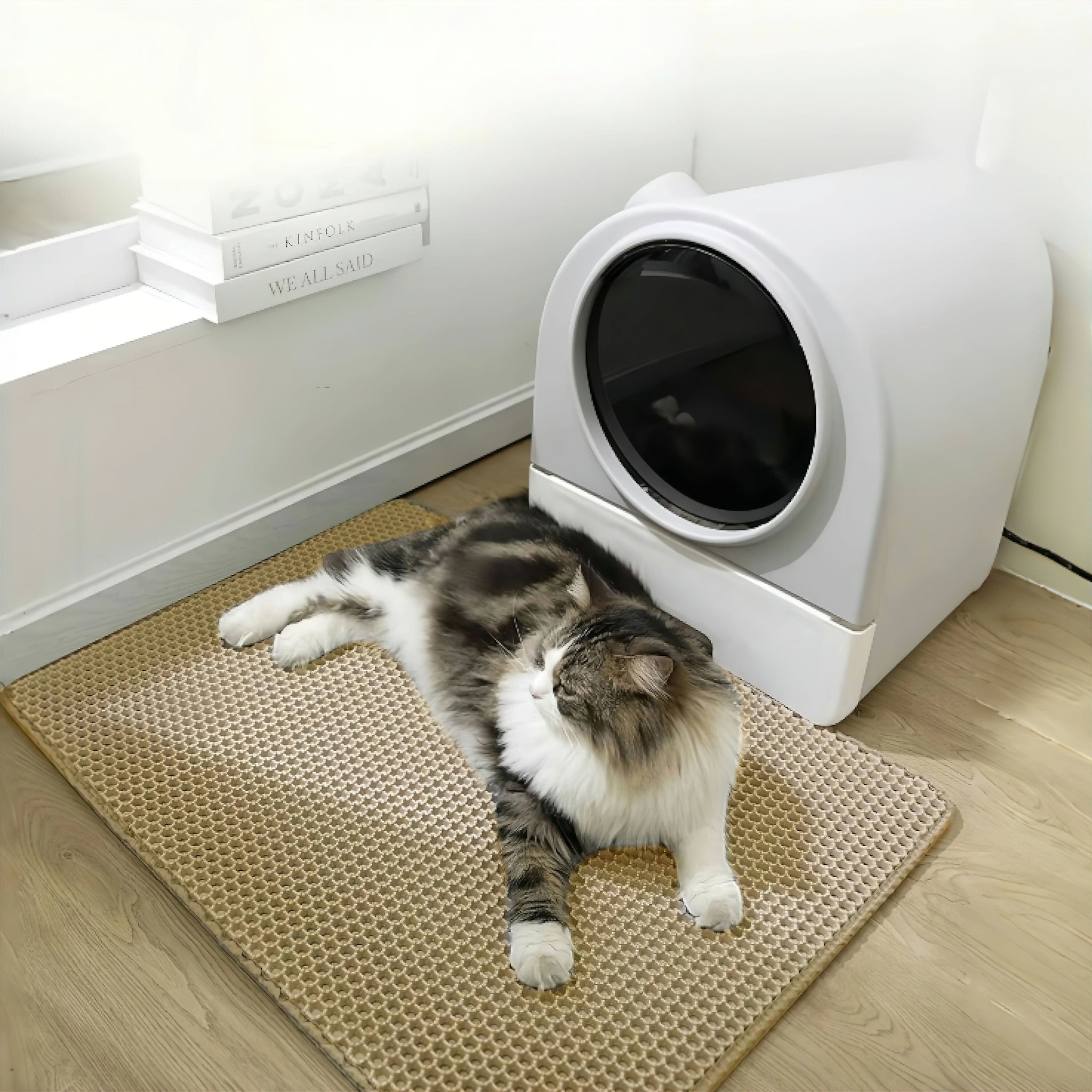 Purrfect Litter Mat (JS) WB will look unprofessional for variants Luxe Pet Store | Tiny. Pure. Love. 