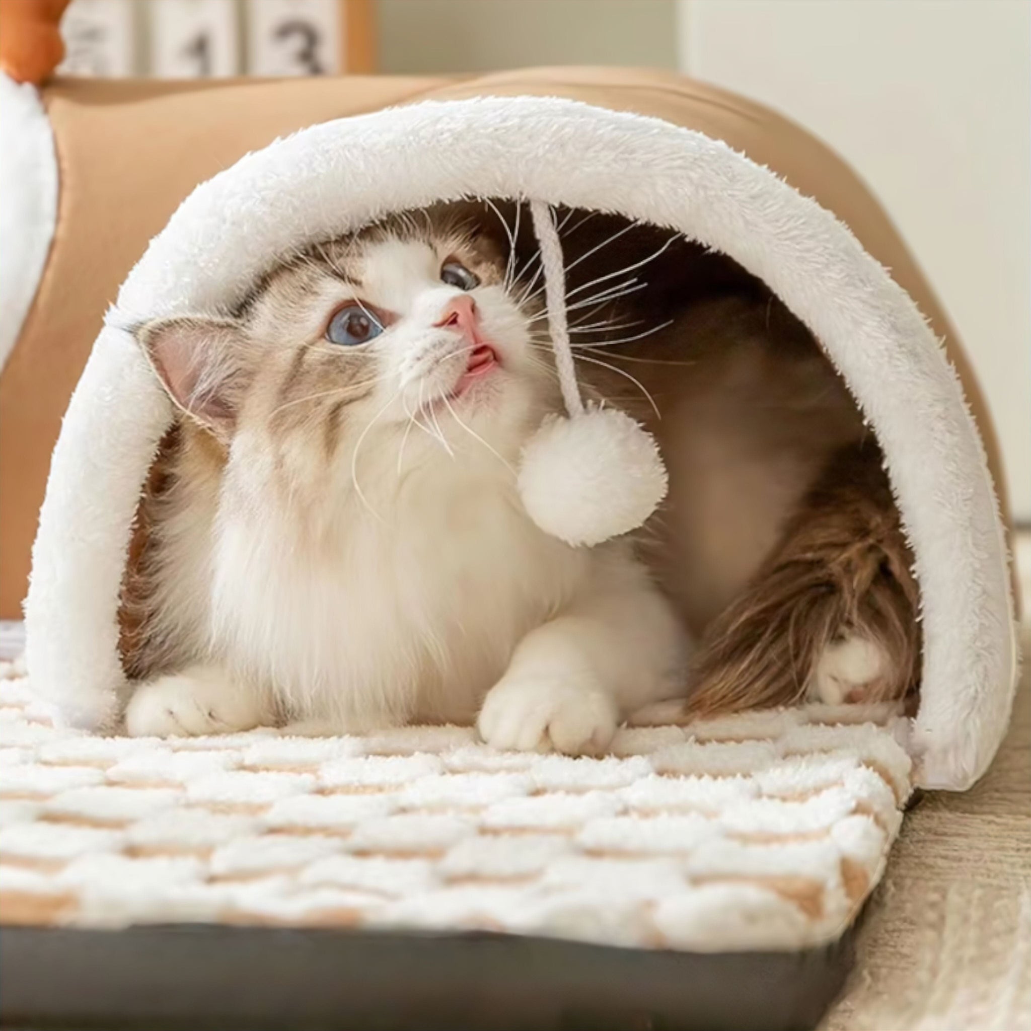 Reindeer Pet Cave Luxe Pet Store | Tiny. Pure. Love. 