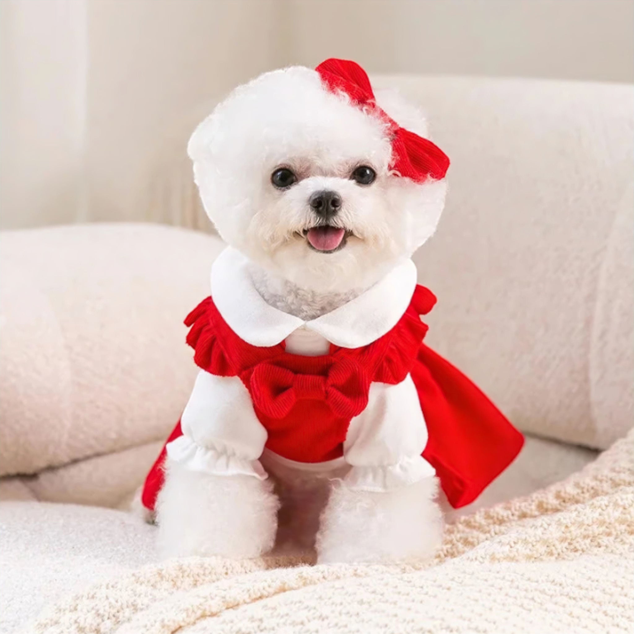 Lovely Pet Dress Luxe Pet Store | Tiny. Pure. Love. 