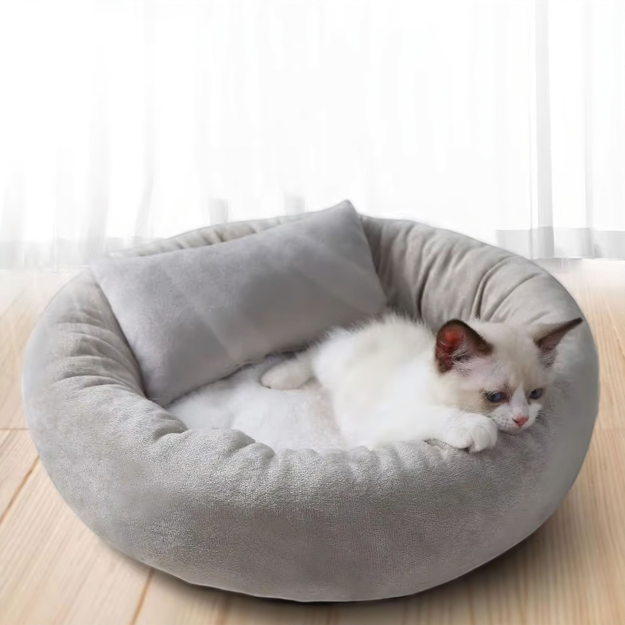 Dreamy Pet Nest Luxe Pet Store | Tiny. Pure. Love. 