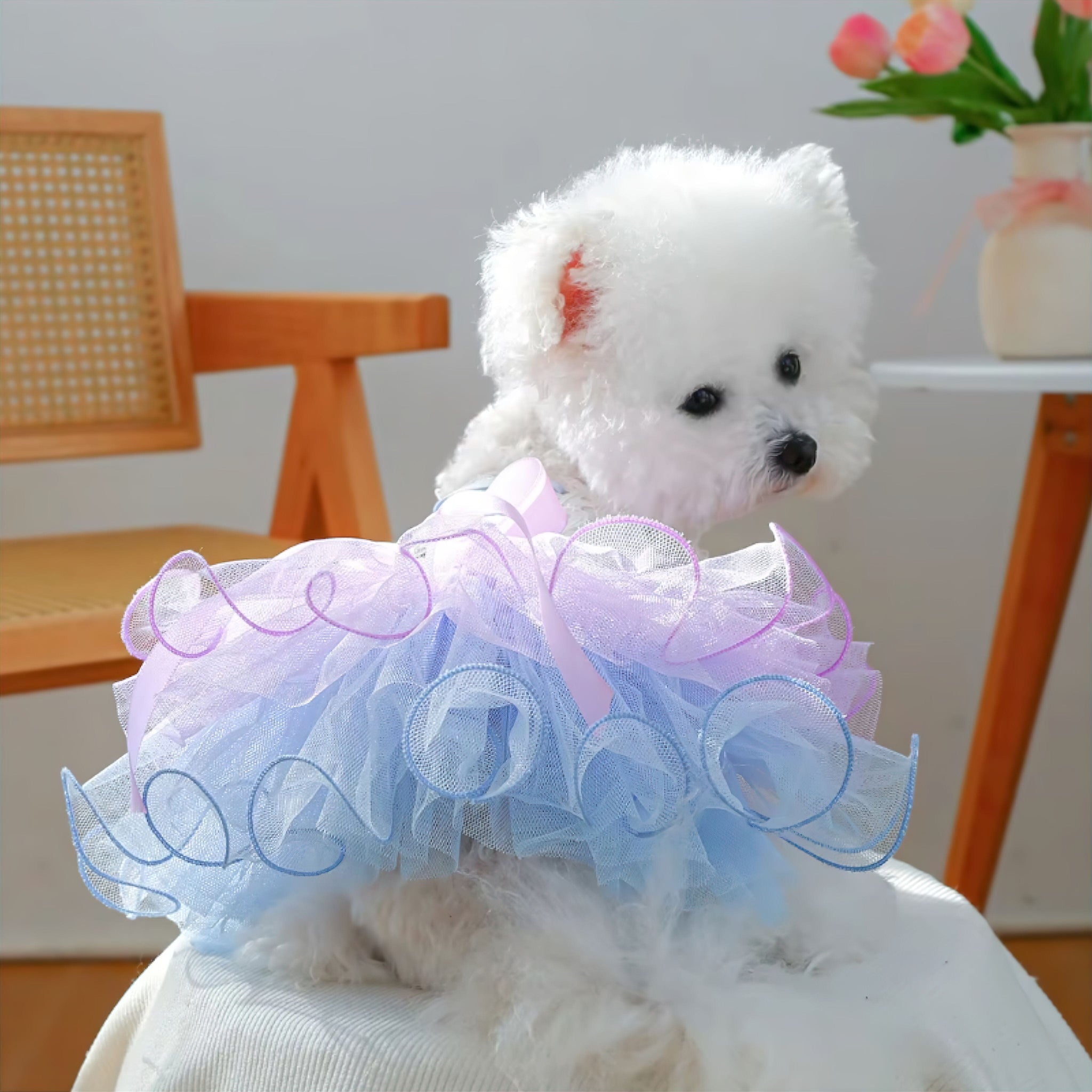 Pup Princess Dress (JS) Luxe Pet Store | Tiny. Pure. Love. 