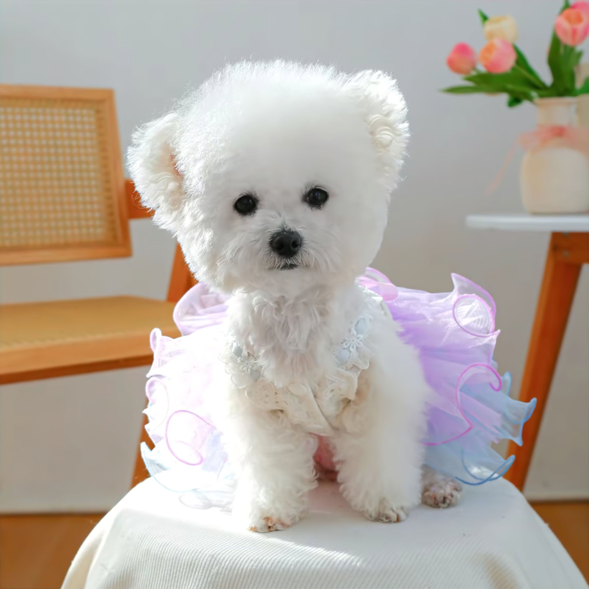 Pup Princess Dress (JS) Luxe Pet Store | Tiny. Pure. Love. 