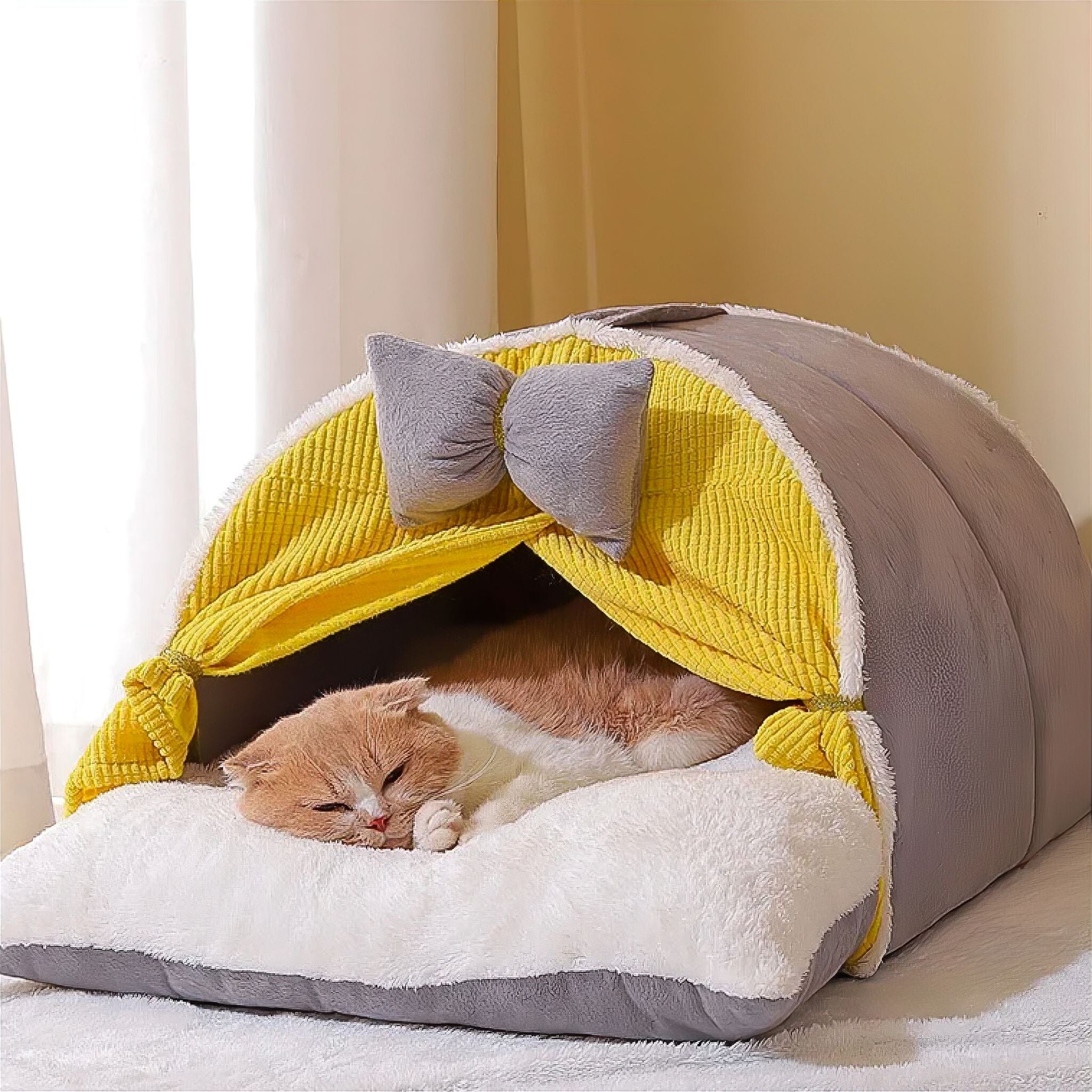 Purr Palace Pet House Luxe Pet Store 