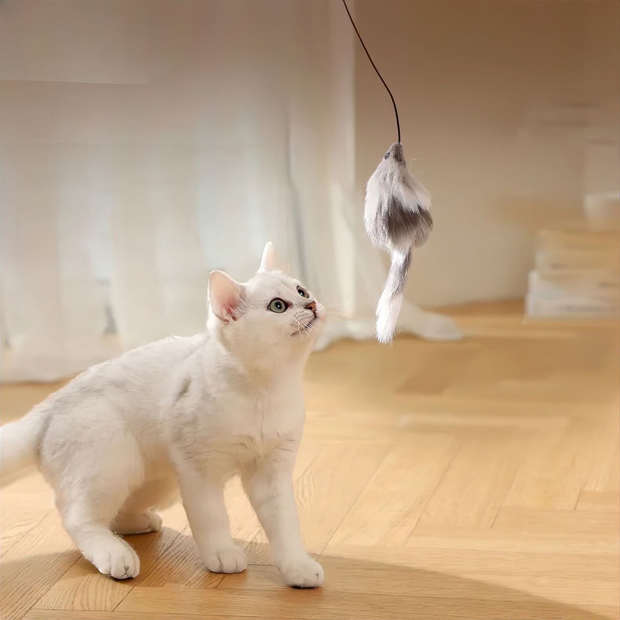 Fuzzy Fun Cat Toy Luxe Pet Store 