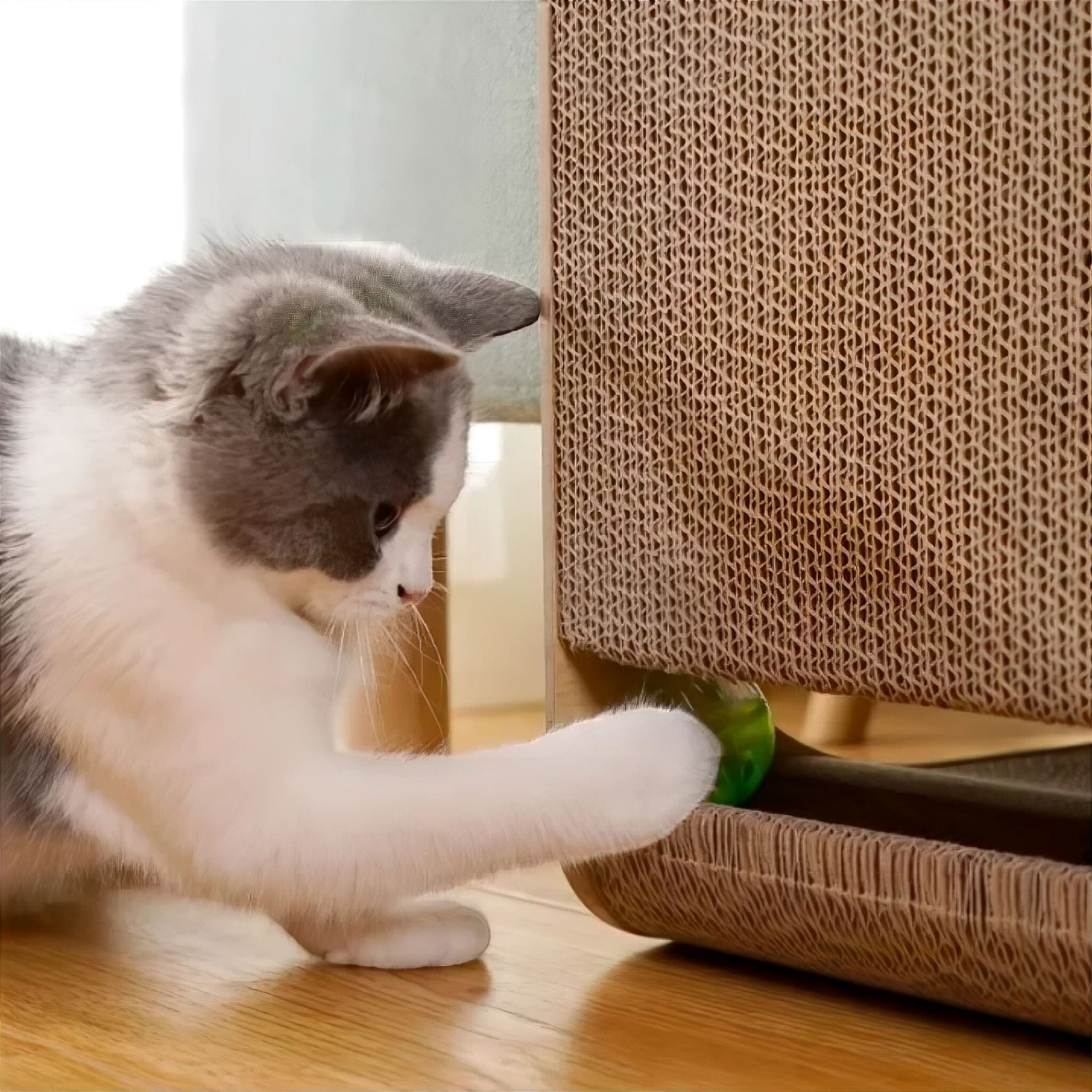 L-Guard Cat Bed Luxe Pet Store 