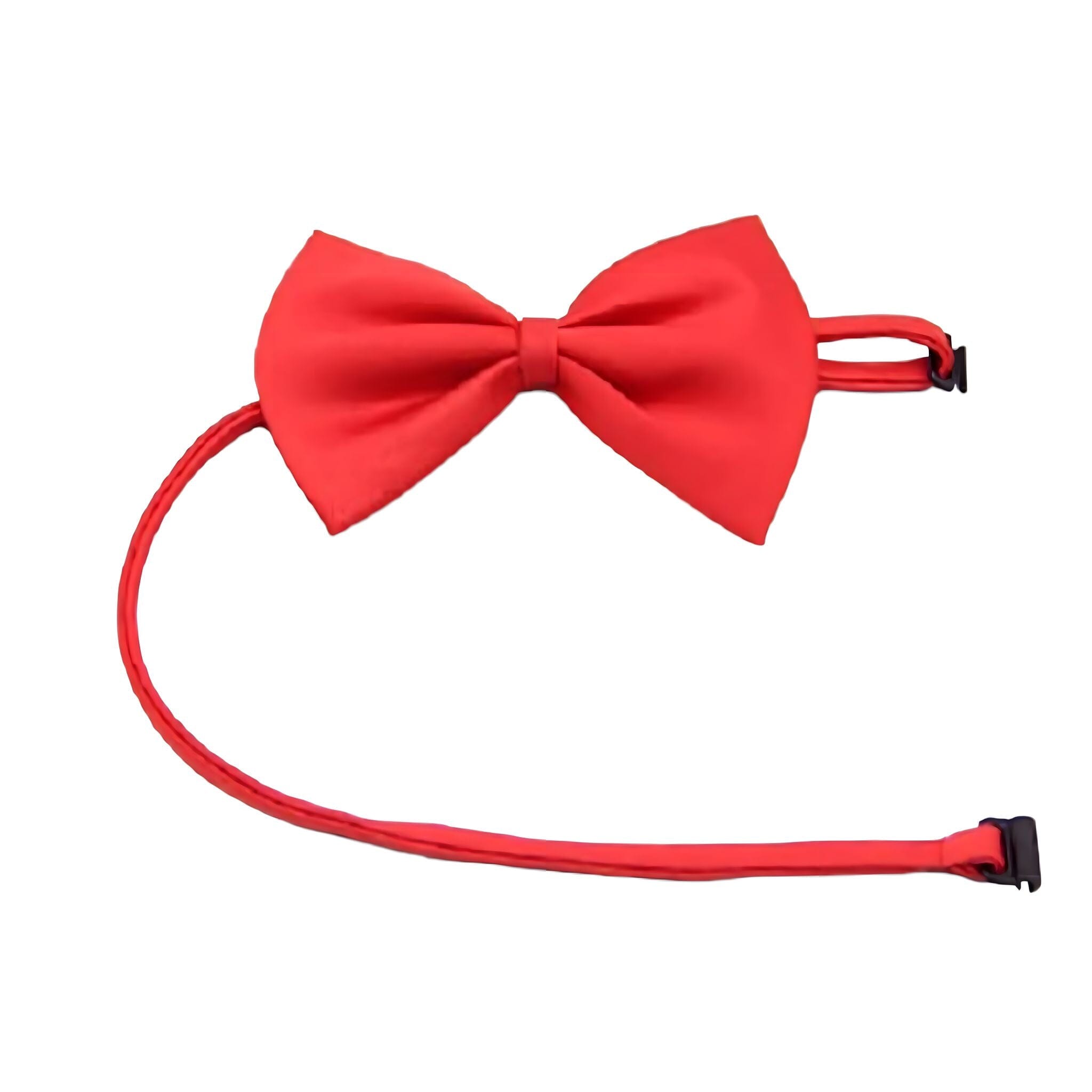 Paws and Whiskers Necklace Pet Collar USAdrop 
