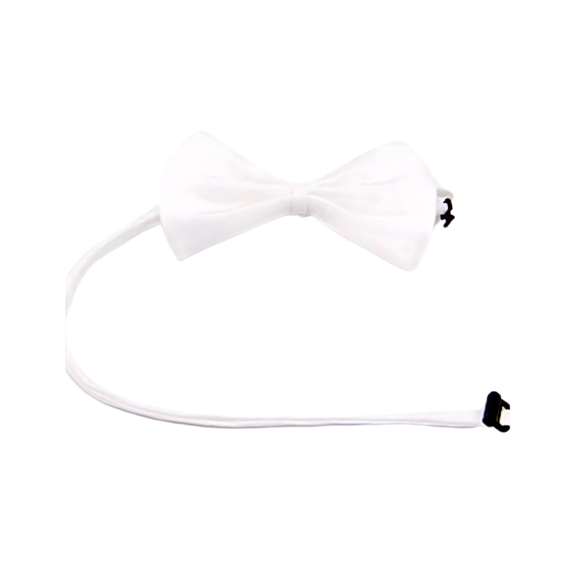 Paws and Whiskers Necklace Pet Collar USAdrop 