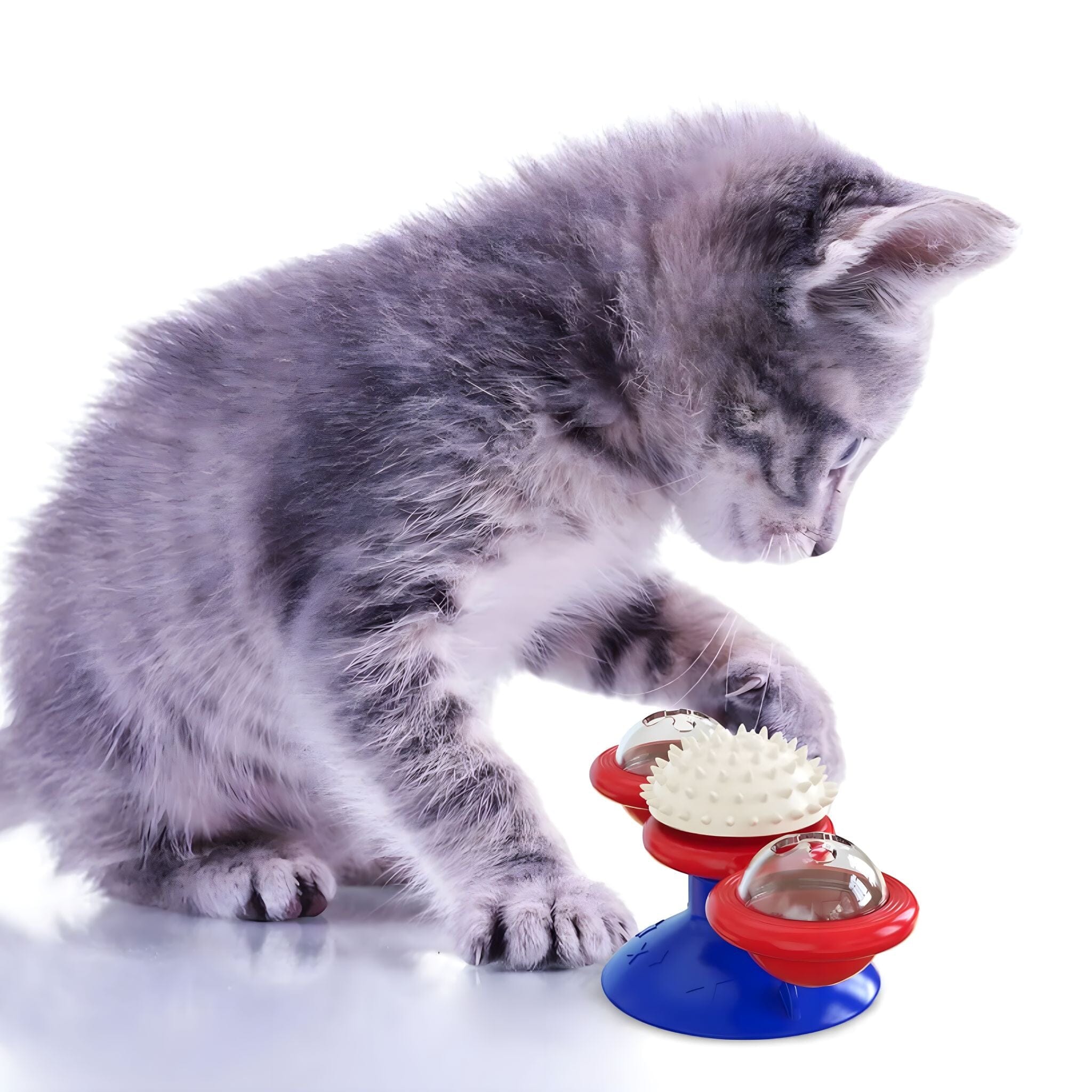 Whisker Spin Puzzle Play Cat Toy Luxe Pet Store 