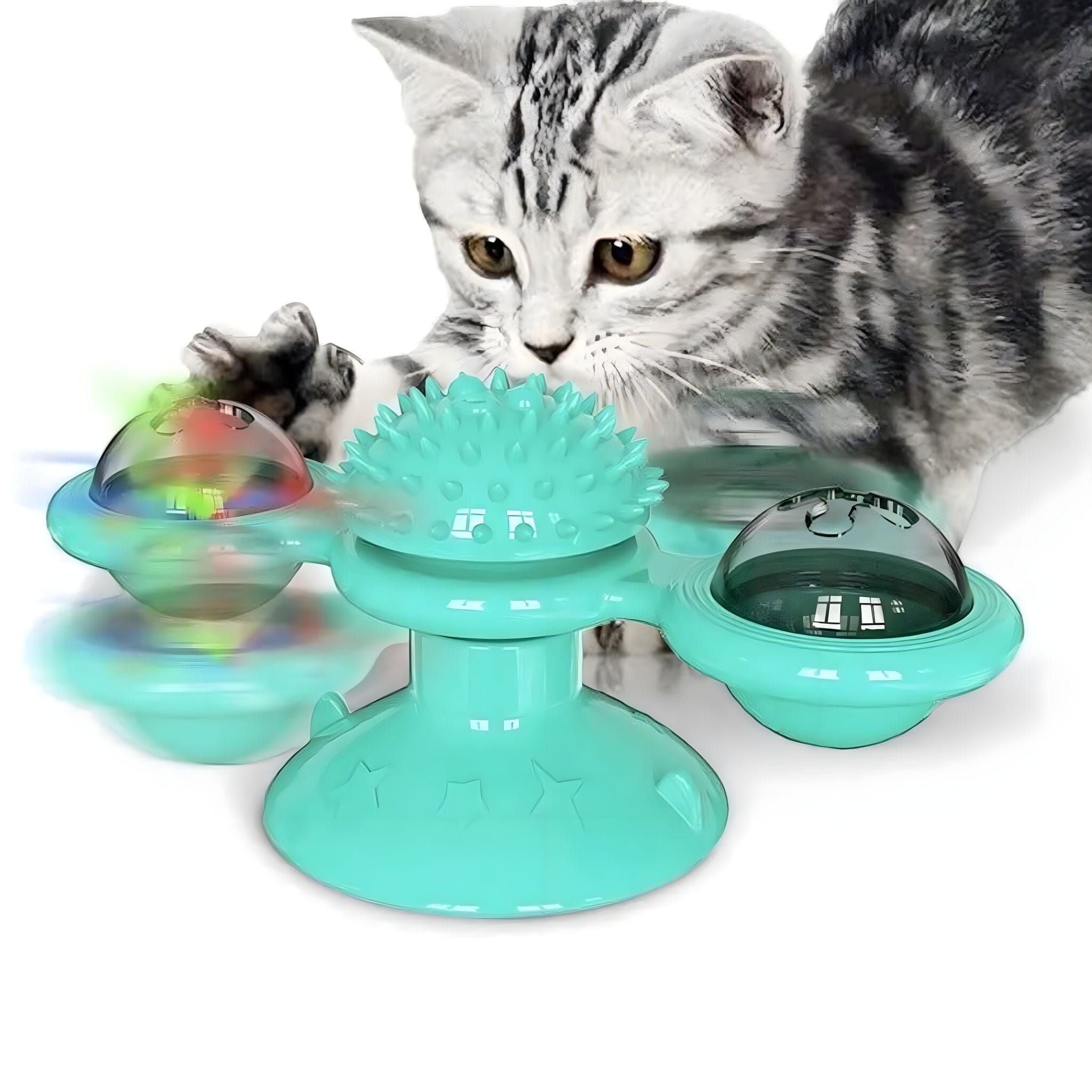 Whisker Spin Puzzle Play Cat Toy Luxe Pet Store E 