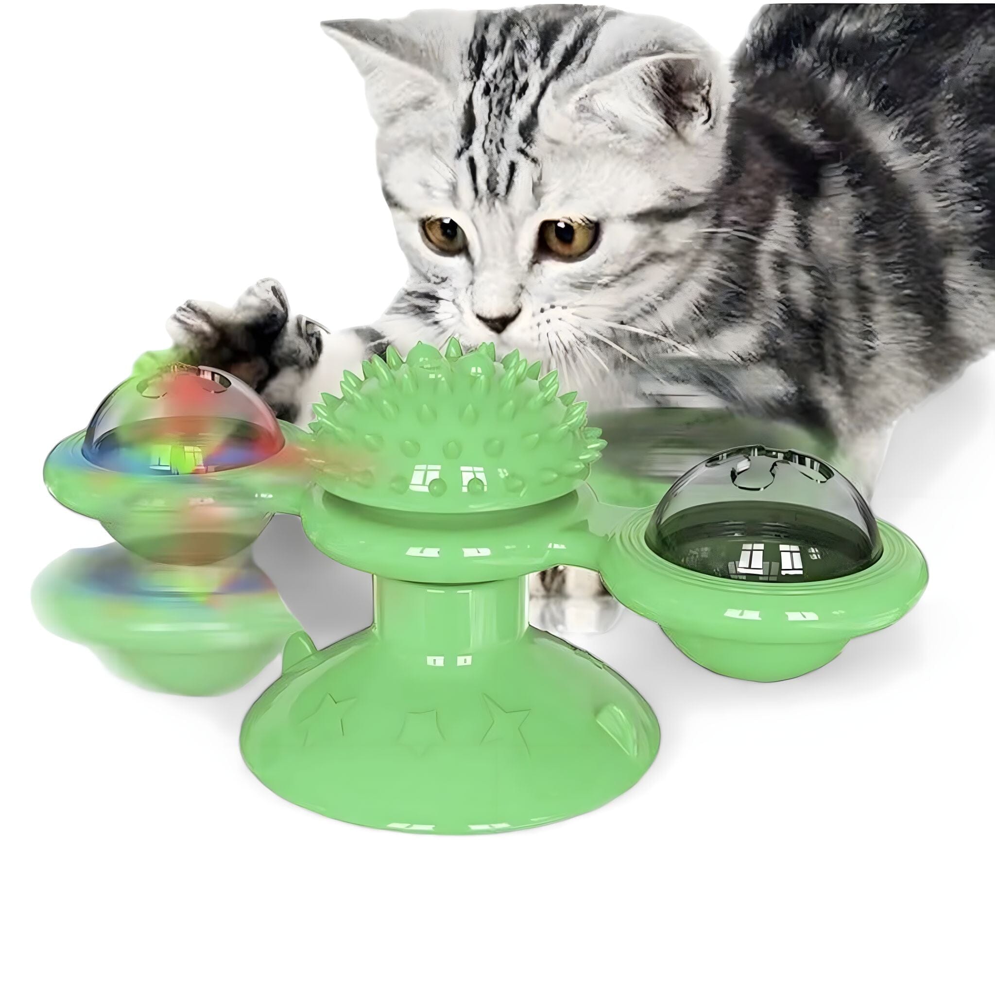 Whisker Spin Puzzle Play Cat Toy Luxe Pet Store D 