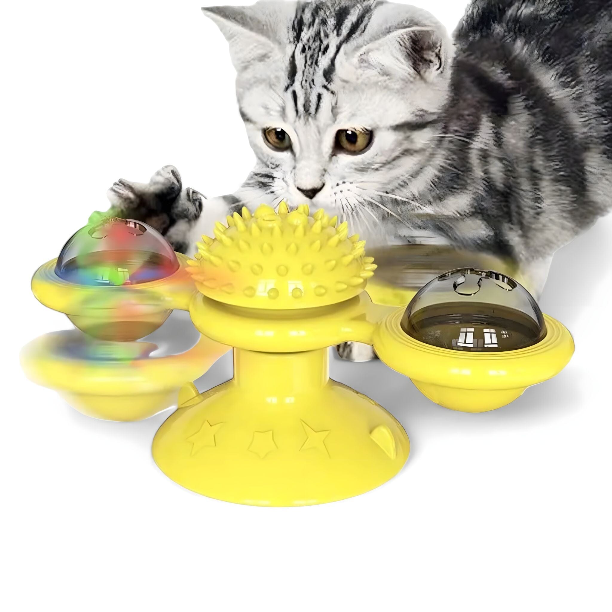 Whisker Spin Puzzle Play Cat Toy Luxe Pet Store C 
