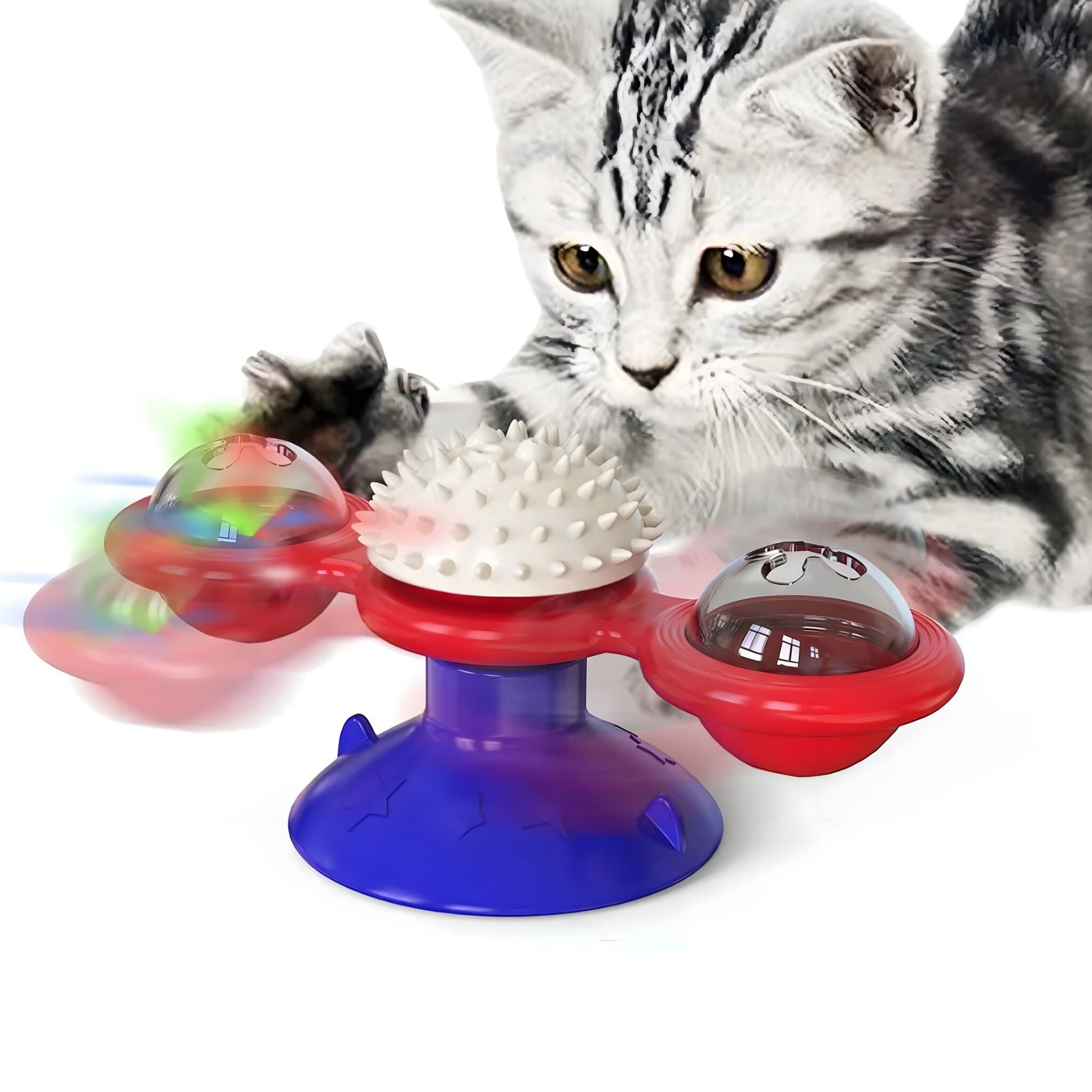 Whisker Spin Puzzle Play Cat Toy Luxe Pet Store B 
