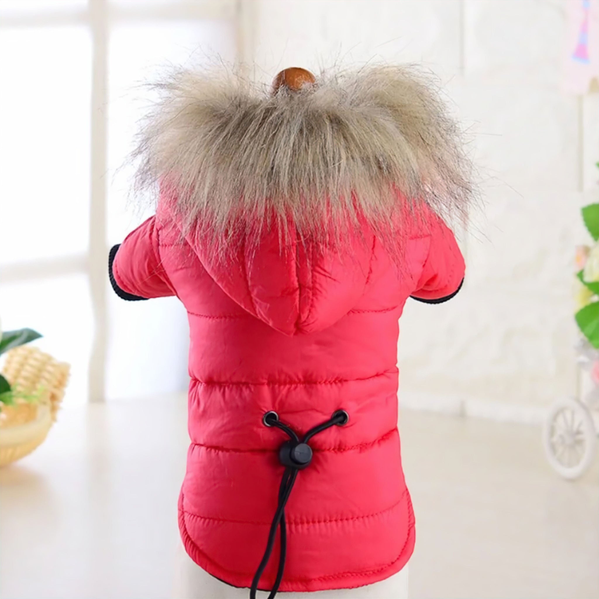 Windproof Dog Hoodie Dog Clothing USAdrop Red XS 