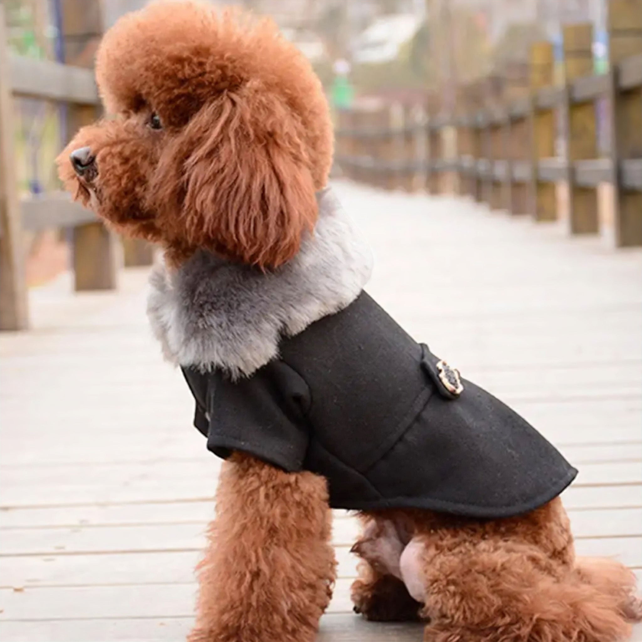 Frosty Fur Pet Jacket Dog Clothing Luxe Pet Store 