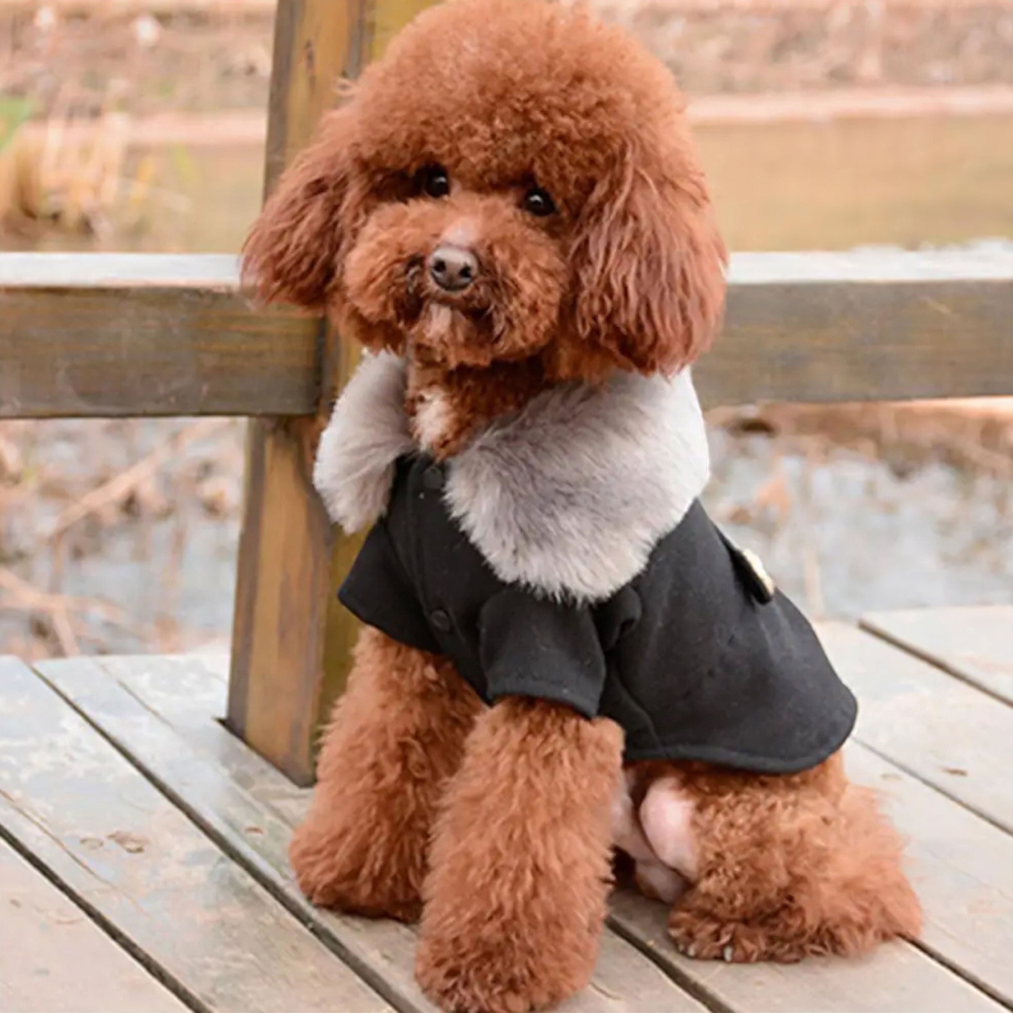 Frosty Fur Pet Jacket Dog Clothing Luxe Pet Store 