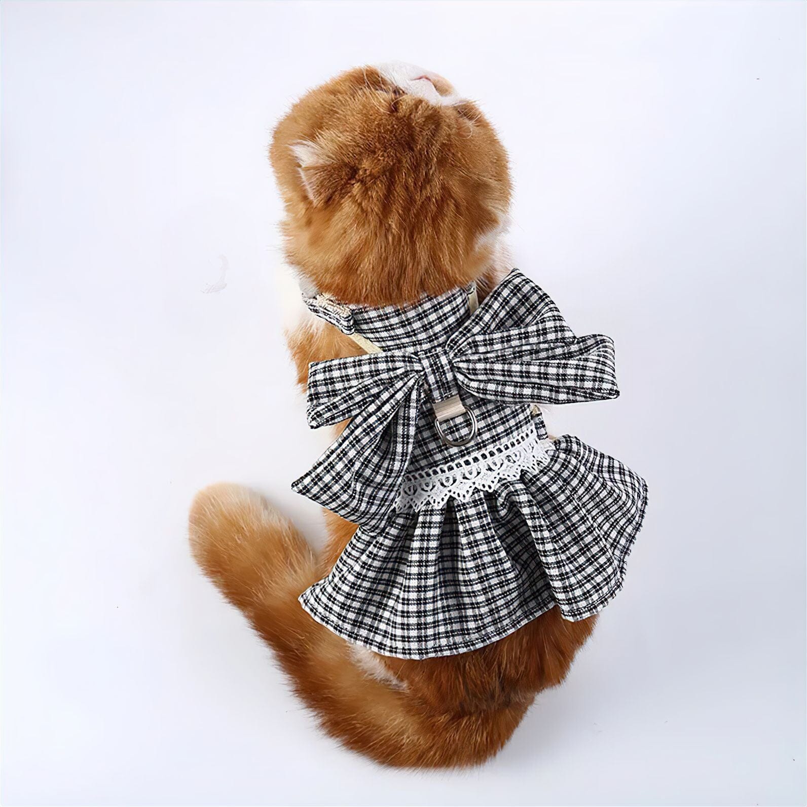 Plaid Pet Harness & Leash Set Cat Collar Luxe Pet Store 